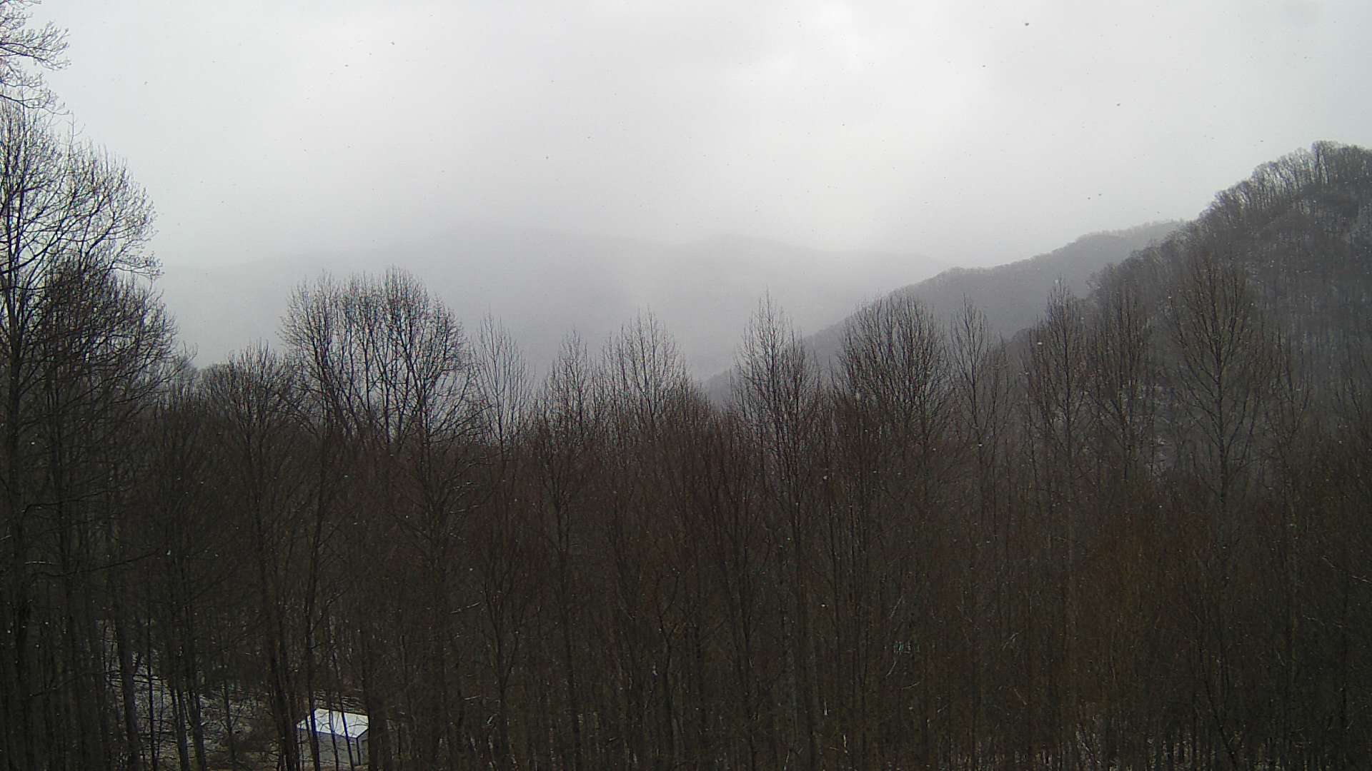 click for next image... slideshow image