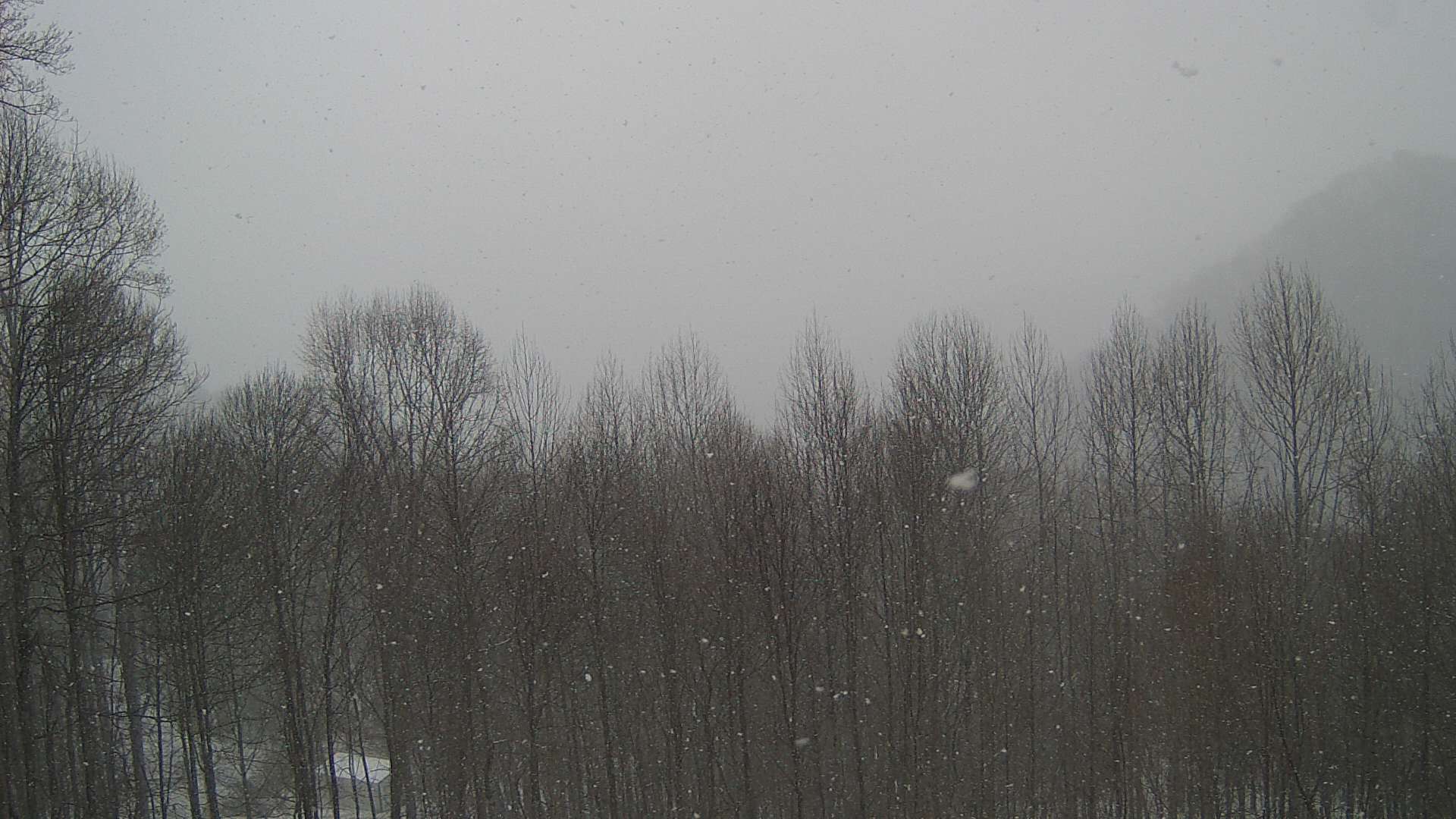 click for next image... slideshow image