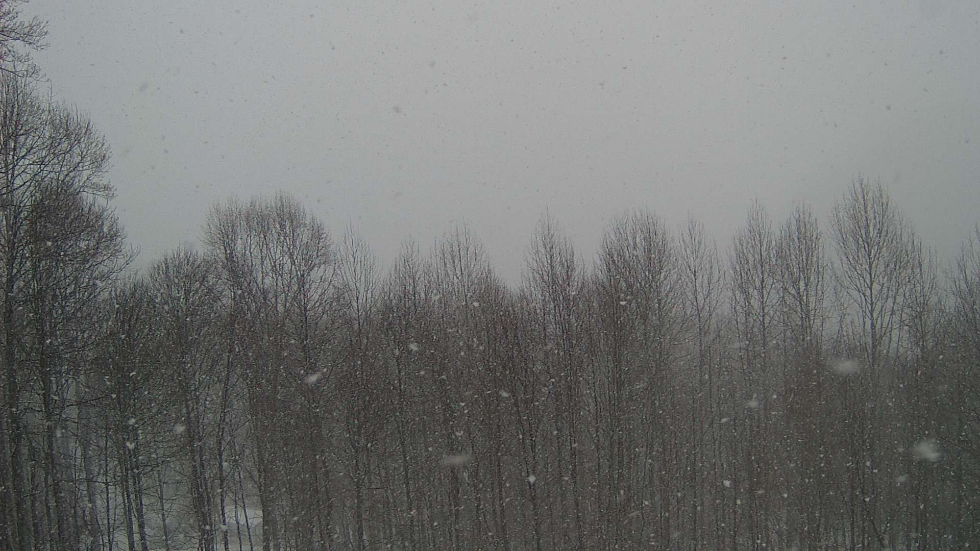 click for next image... slideshow image