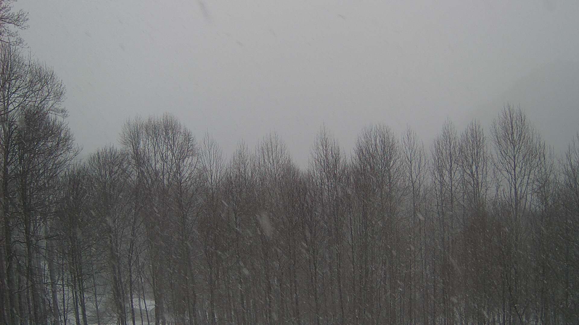 click for next image... slideshow image