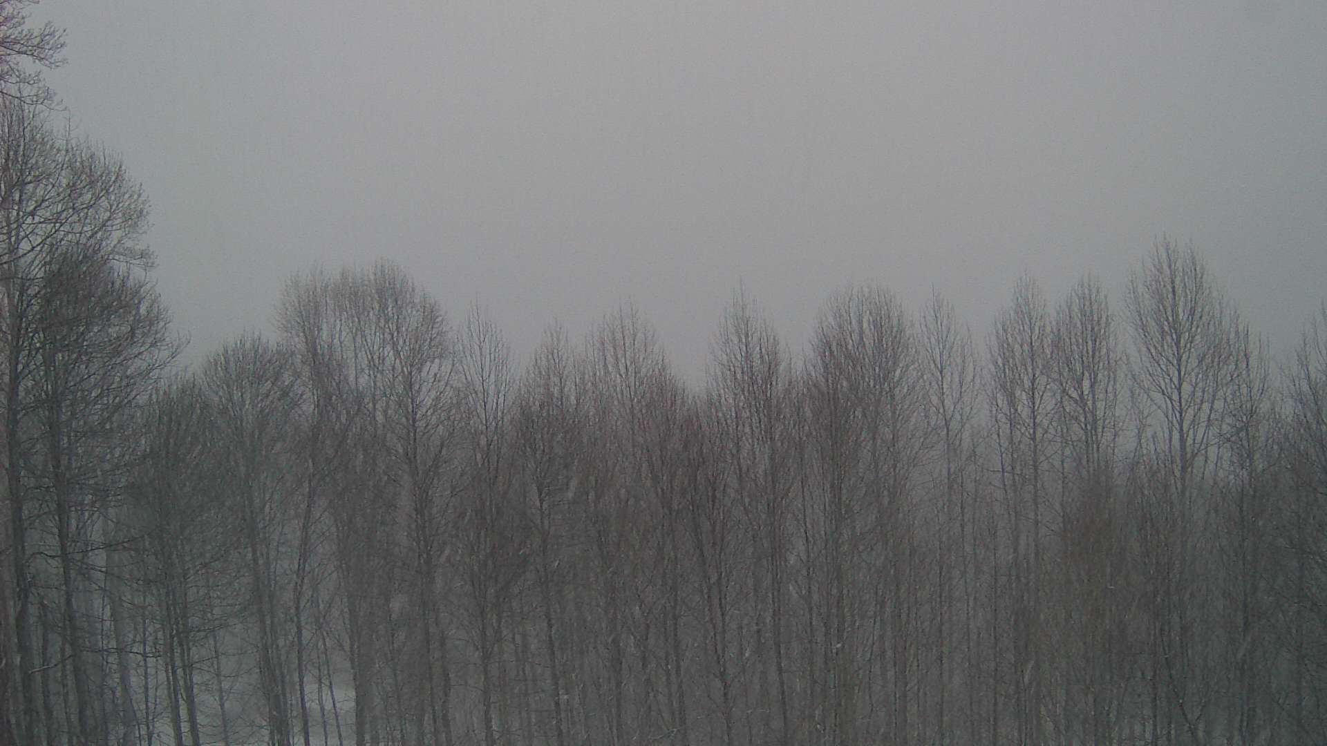 click for next image... slideshow image