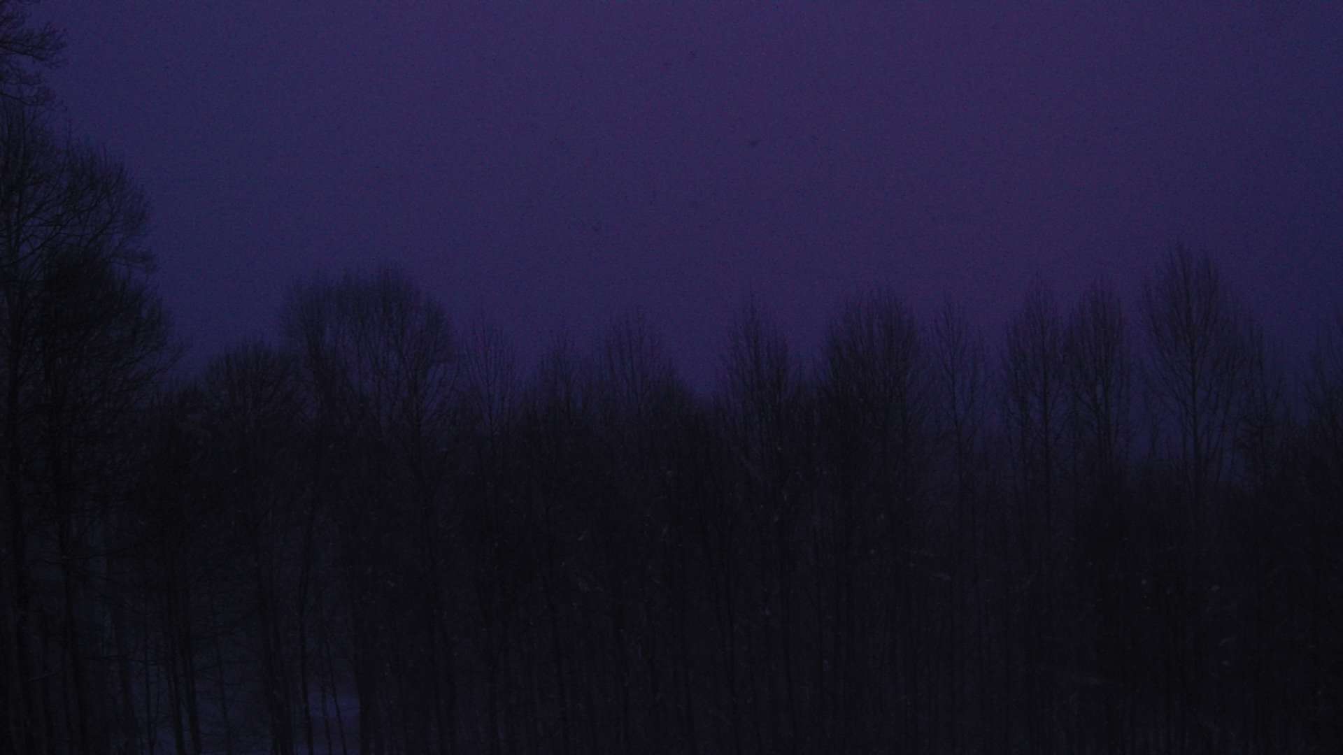 click for next image... slideshow image