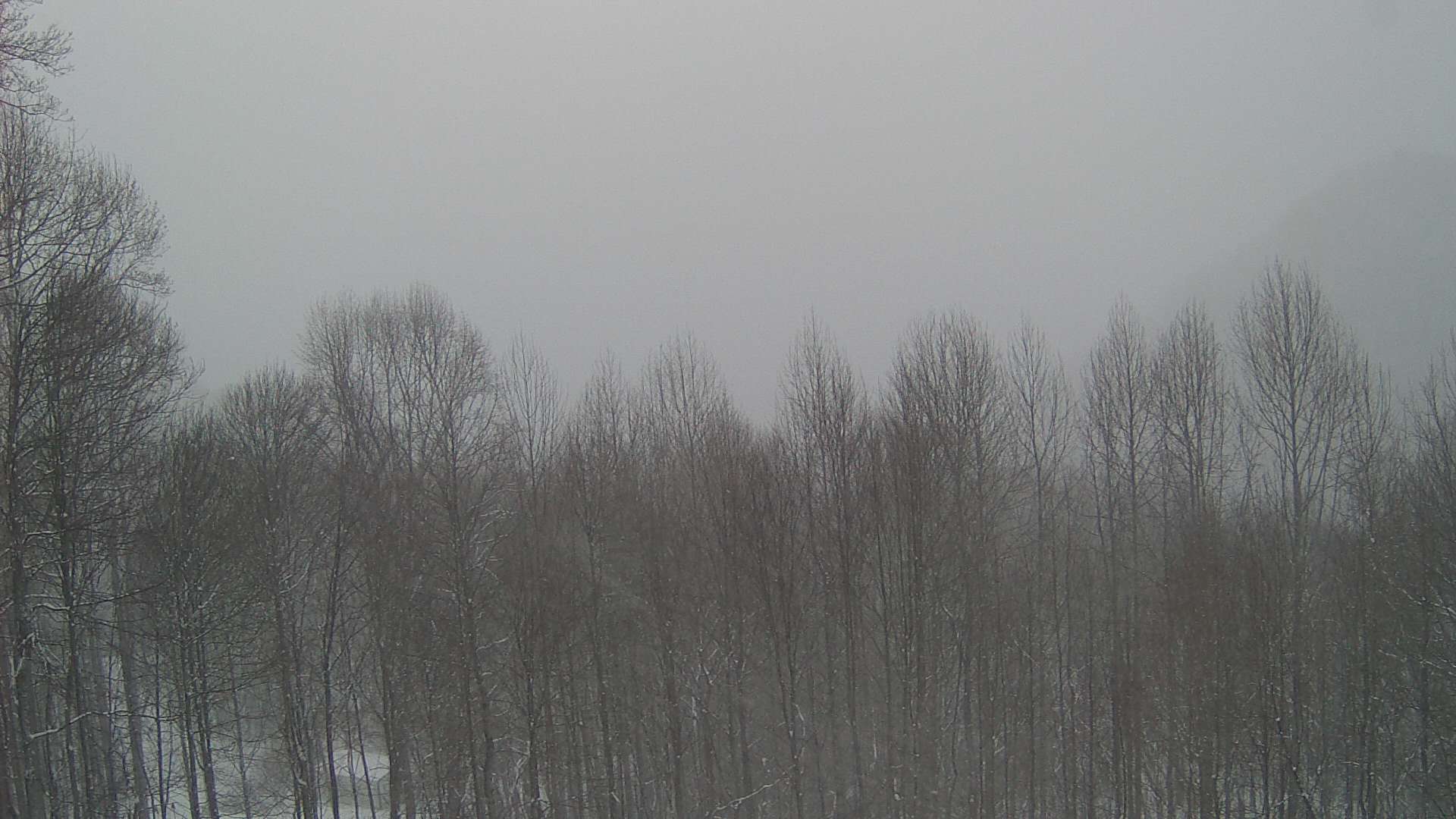 click for next image... slideshow image