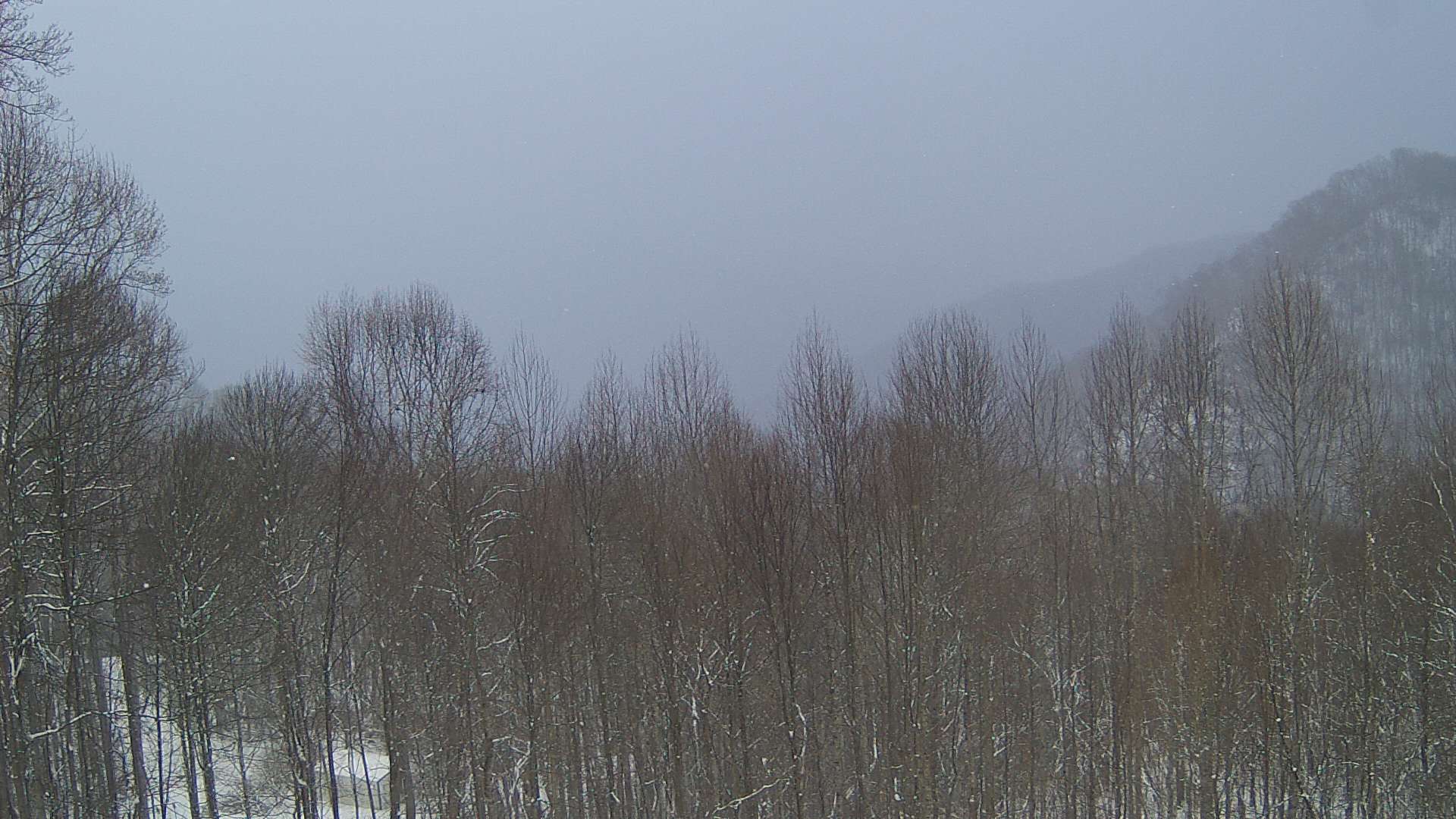 click for next image... slideshow image