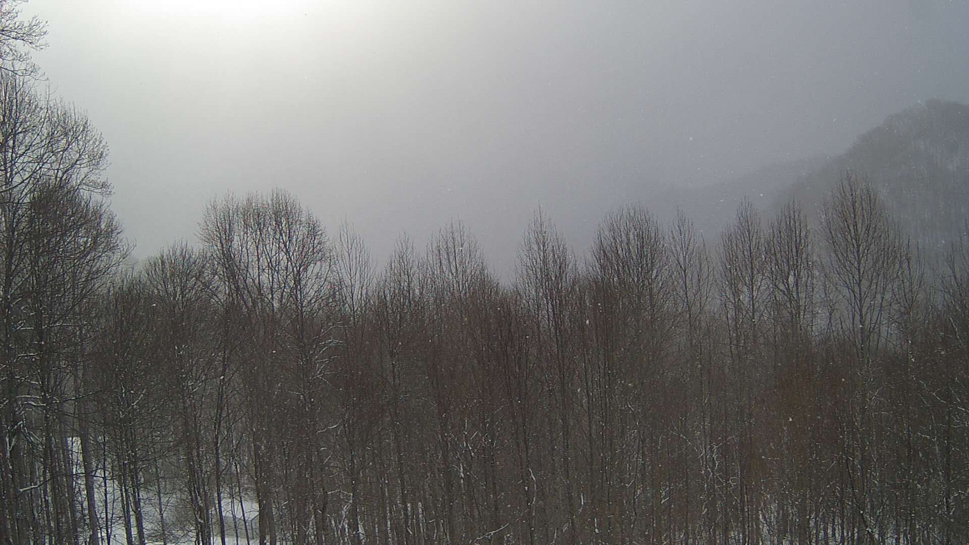 click for next image... slideshow image