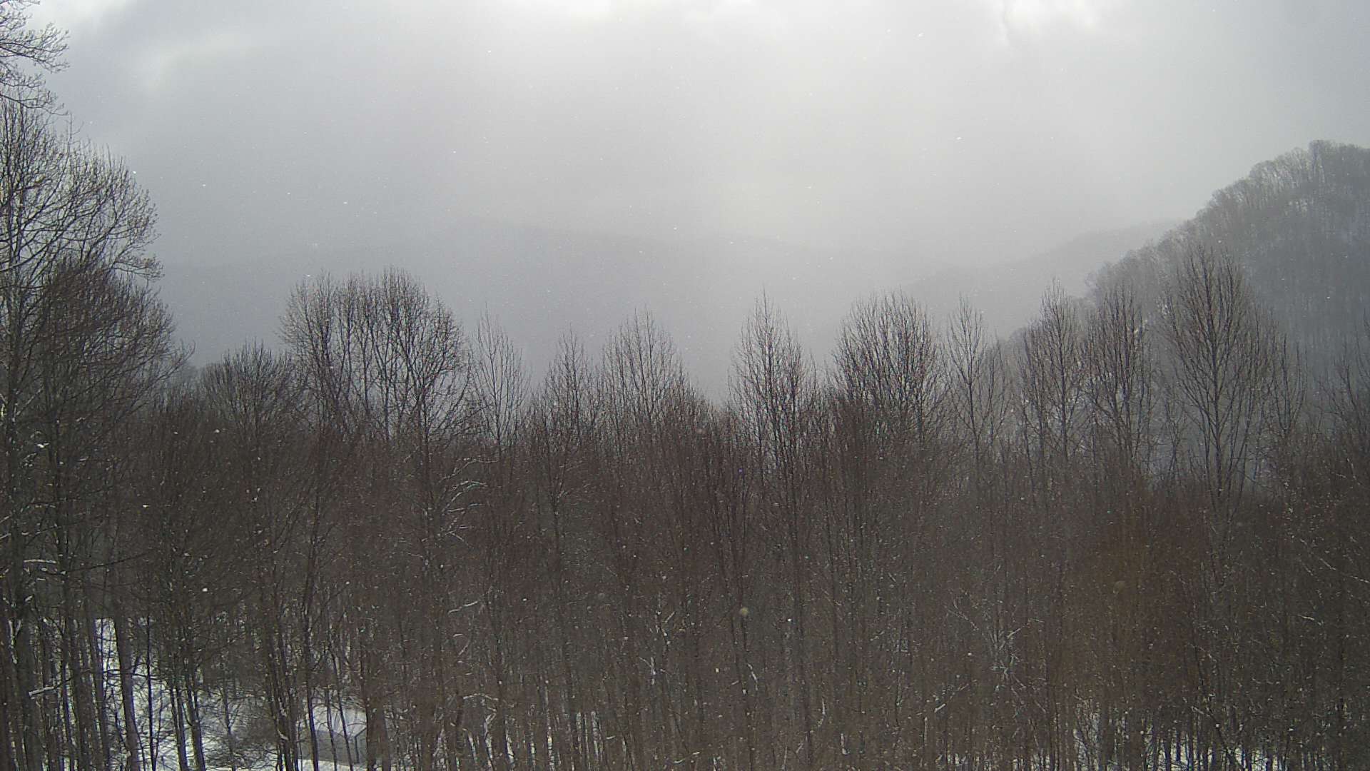 click for next image... slideshow image