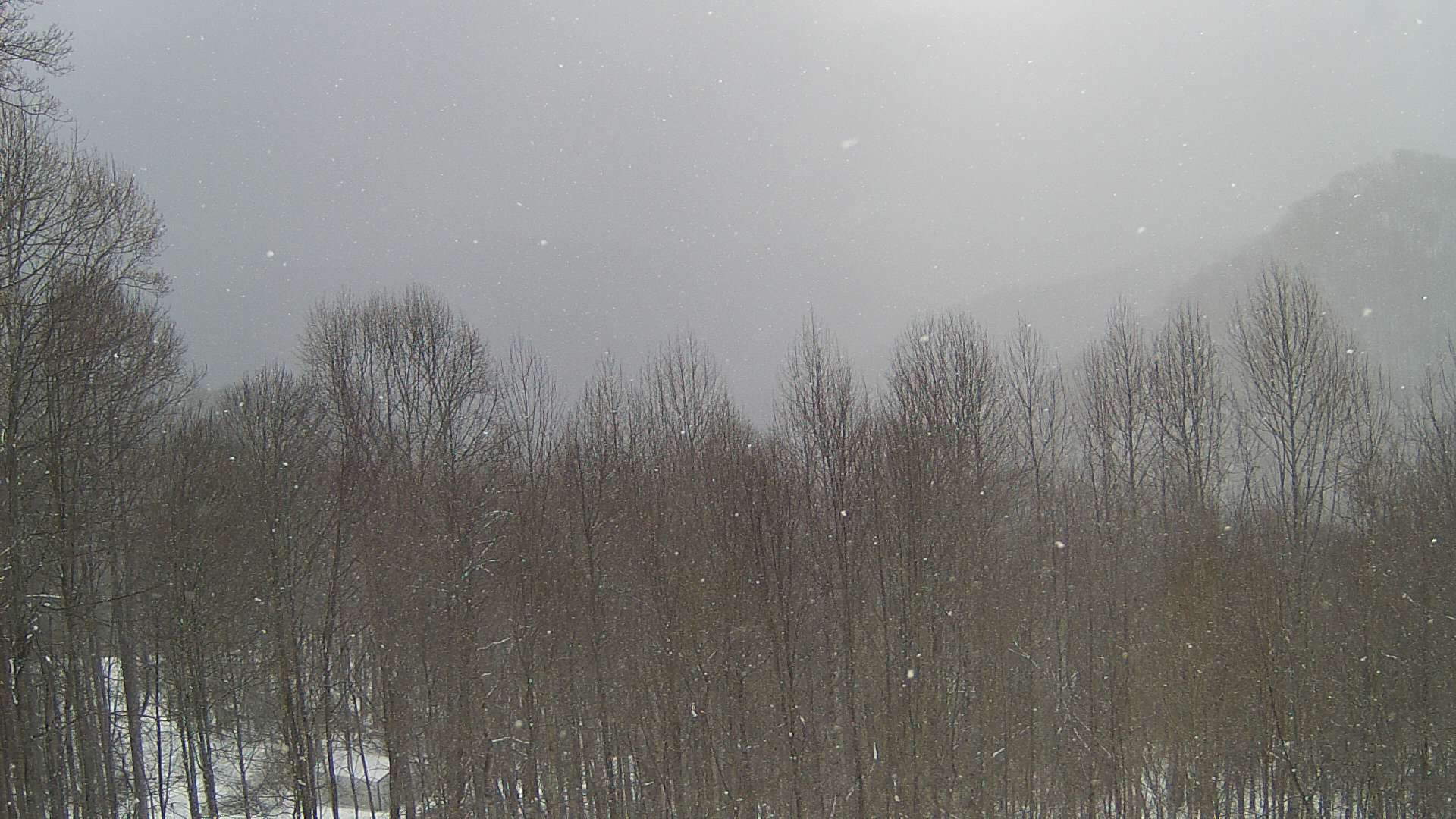 click for next image... slideshow image