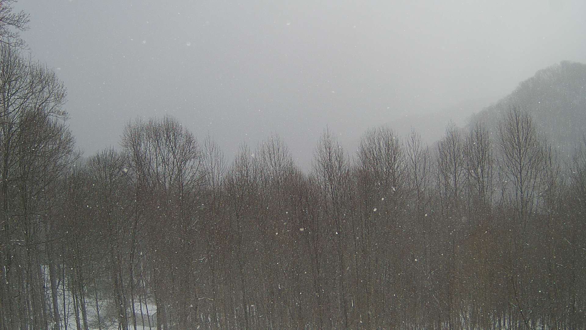 click for next image... slideshow image