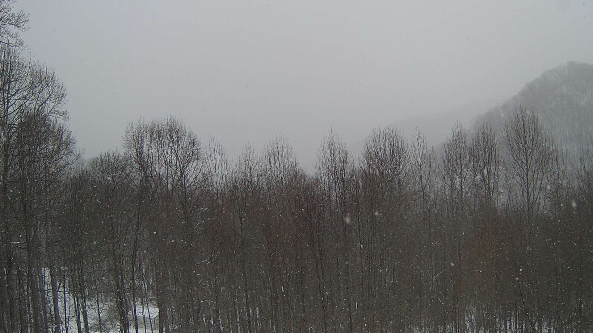 click for next image... slideshow image