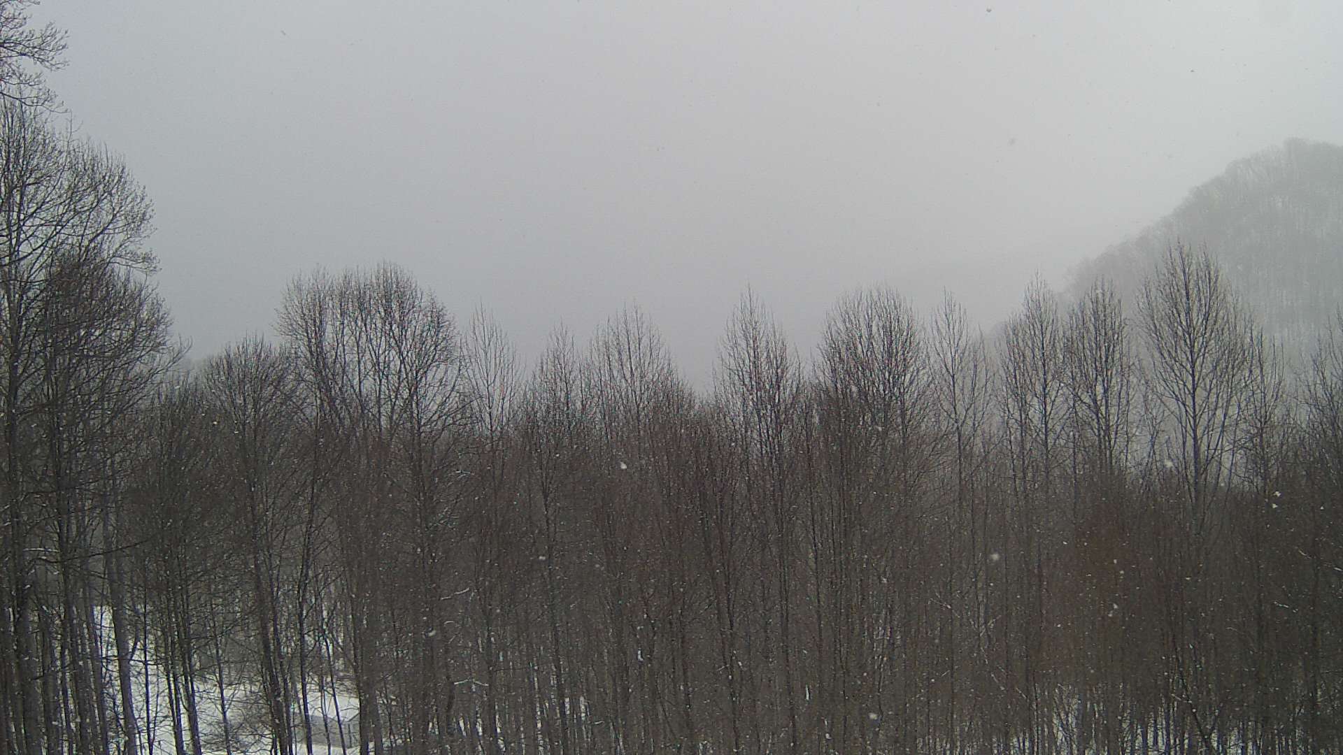 click for next image... slideshow image