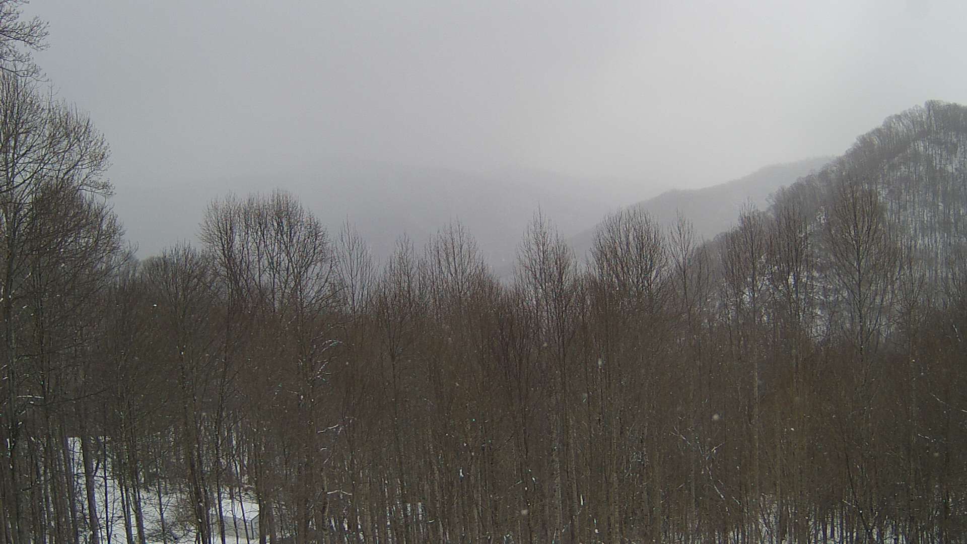 click for next image... slideshow image