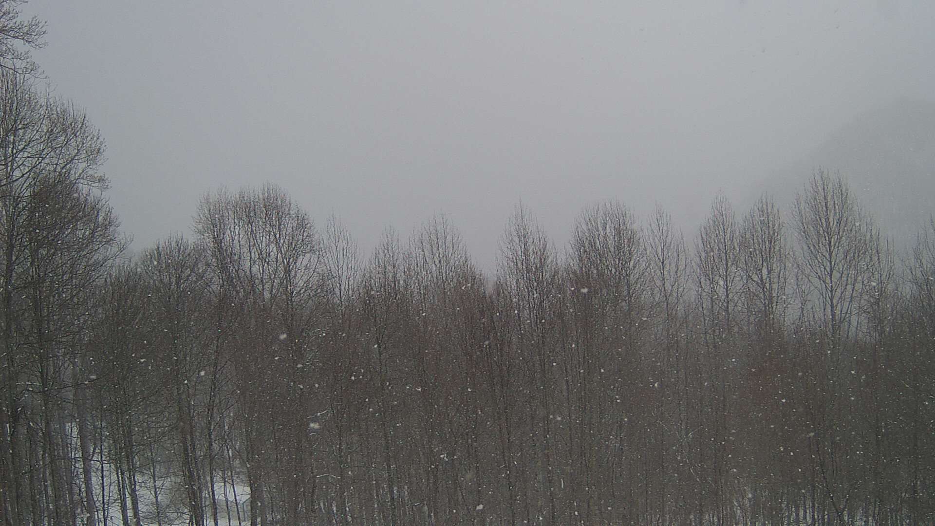 click for next image... slideshow image