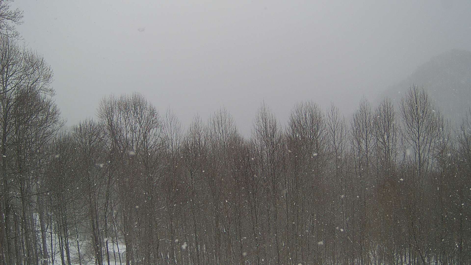 click for next image... slideshow image