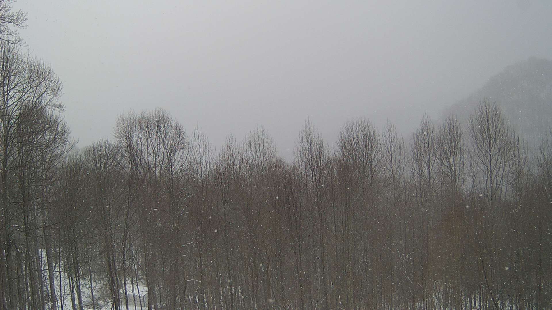 click for next image... slideshow image