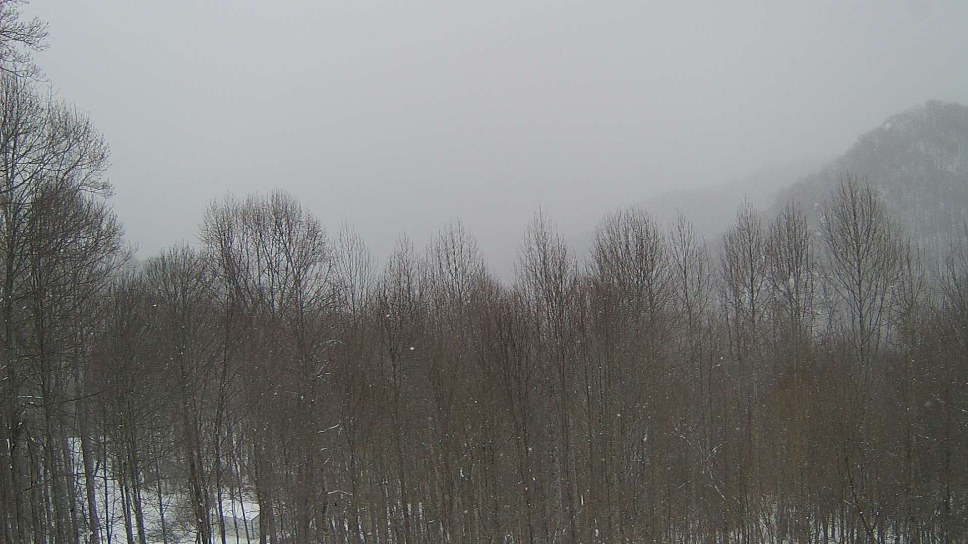 click for next image... slideshow image