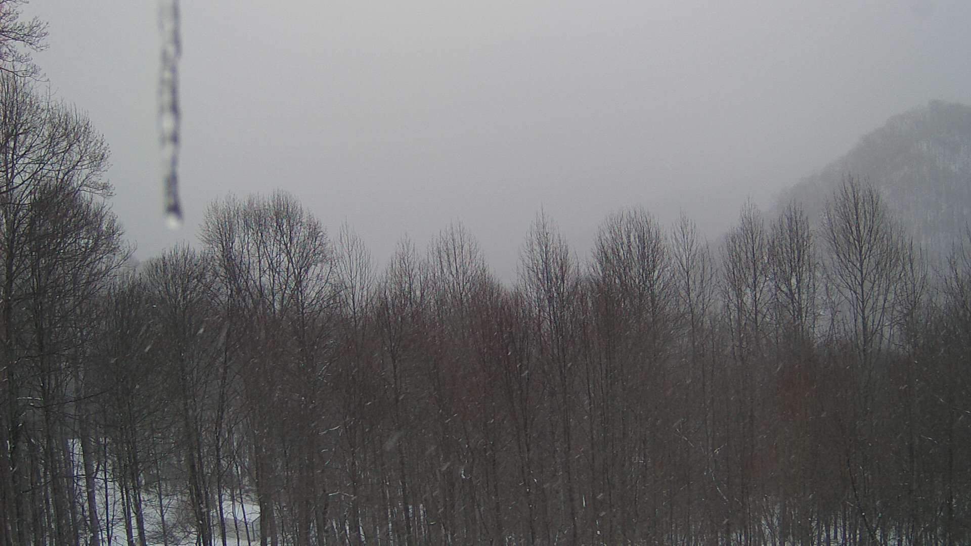 click for next image... slideshow image