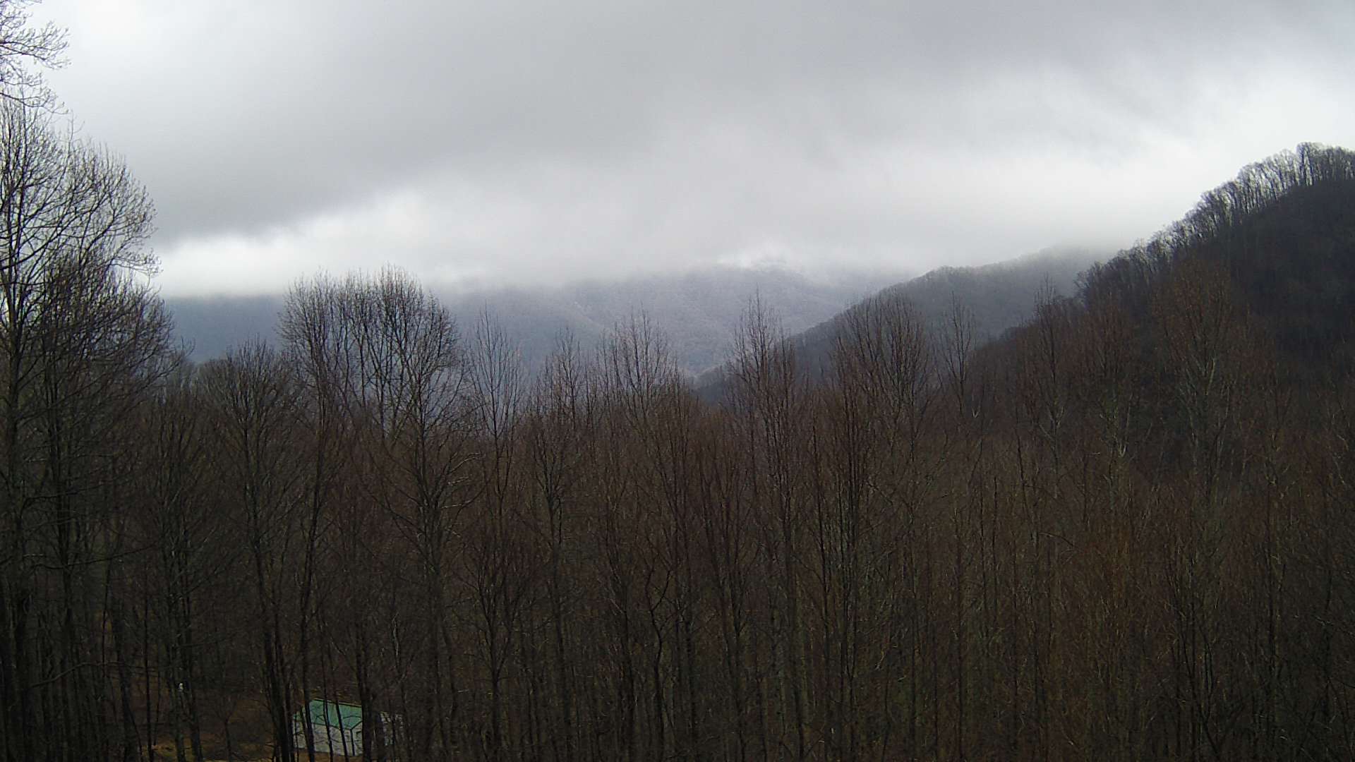 click for next image... slideshow image