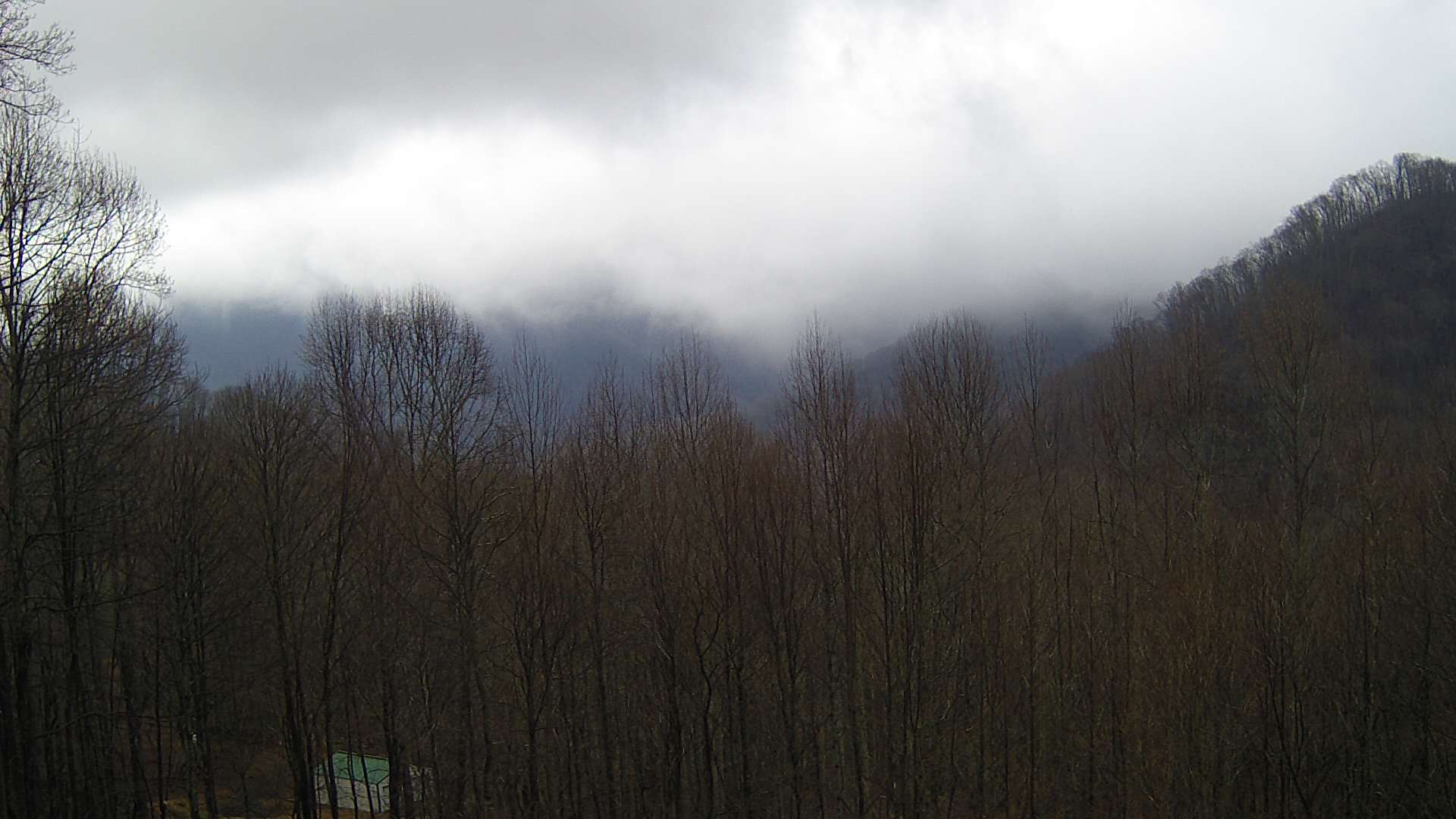 click for next image... slideshow image