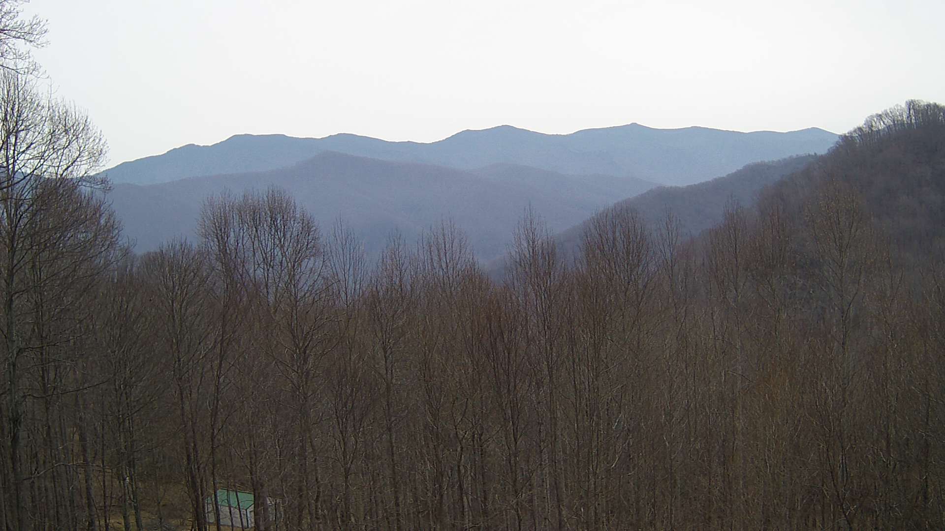 click for next image... slideshow image