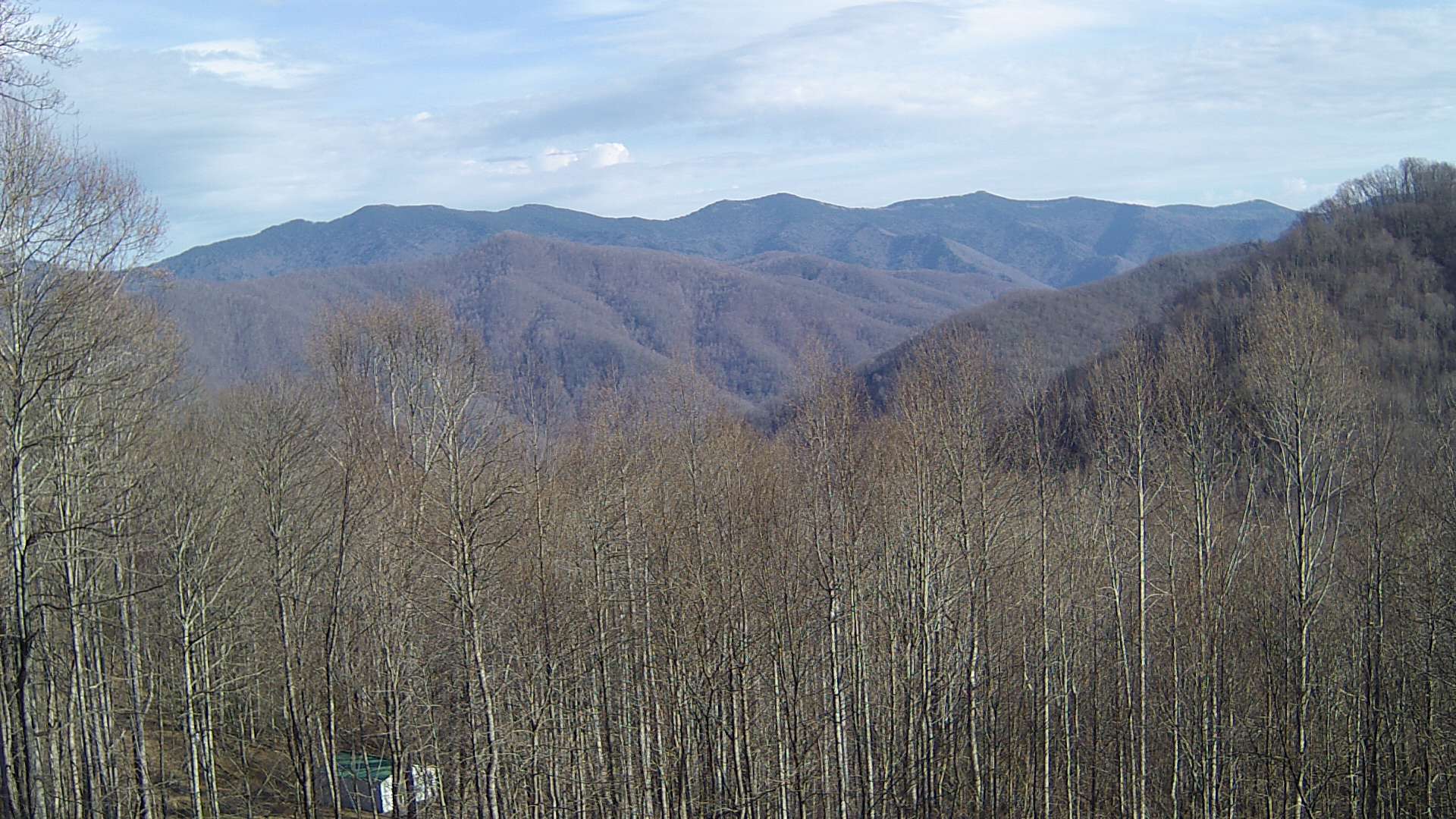 click for next image... slideshow image