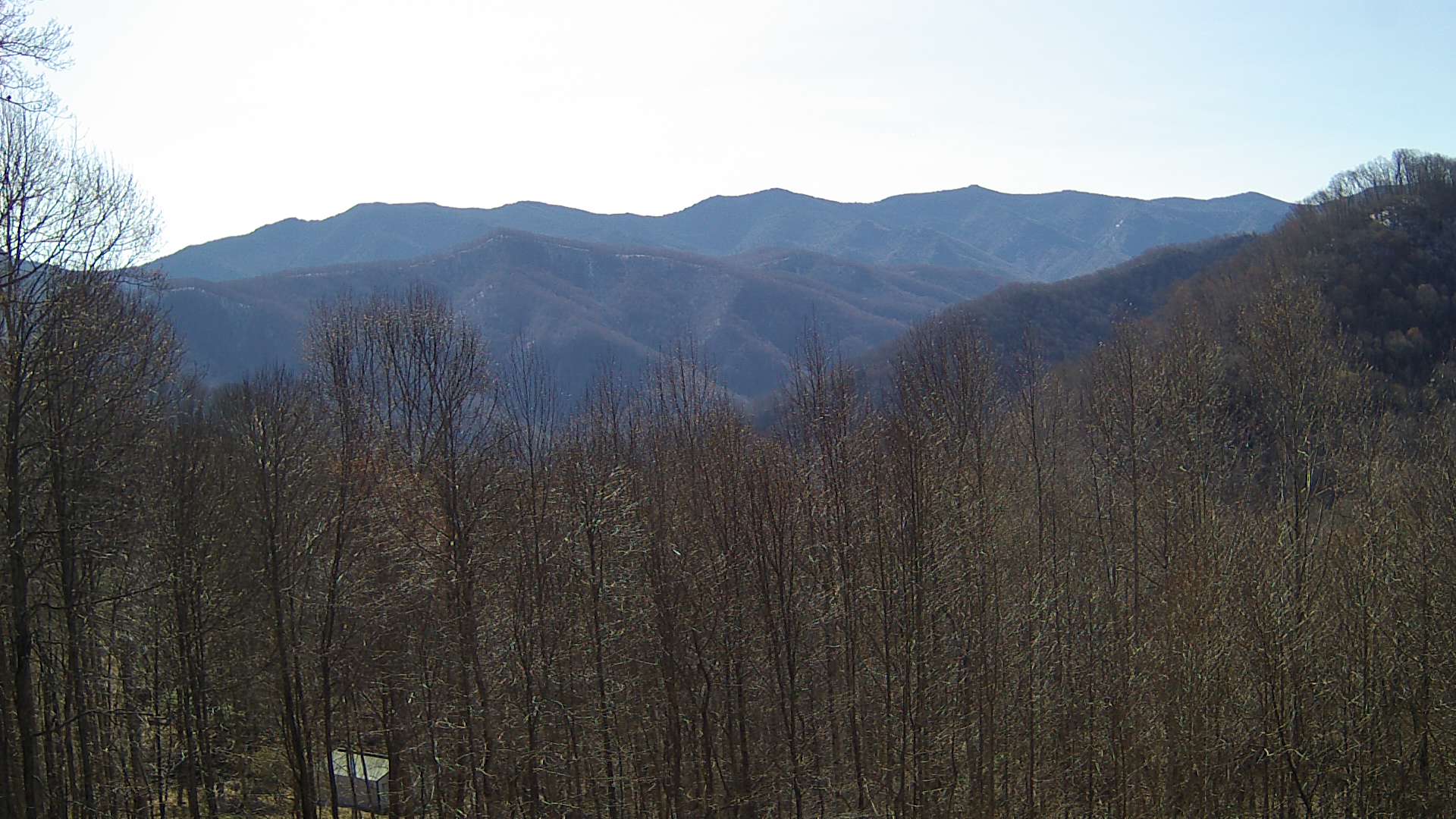 click for next image... slideshow image