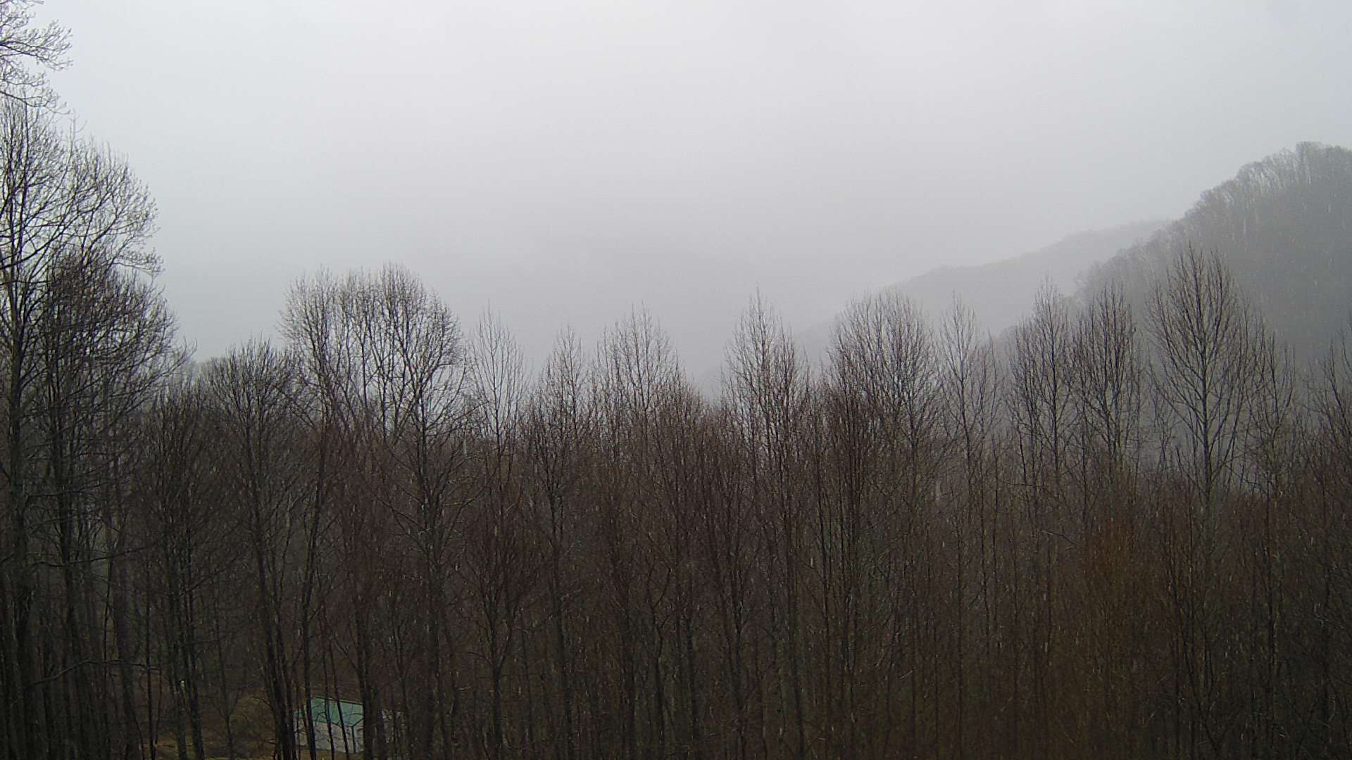 click for next image... slideshow image