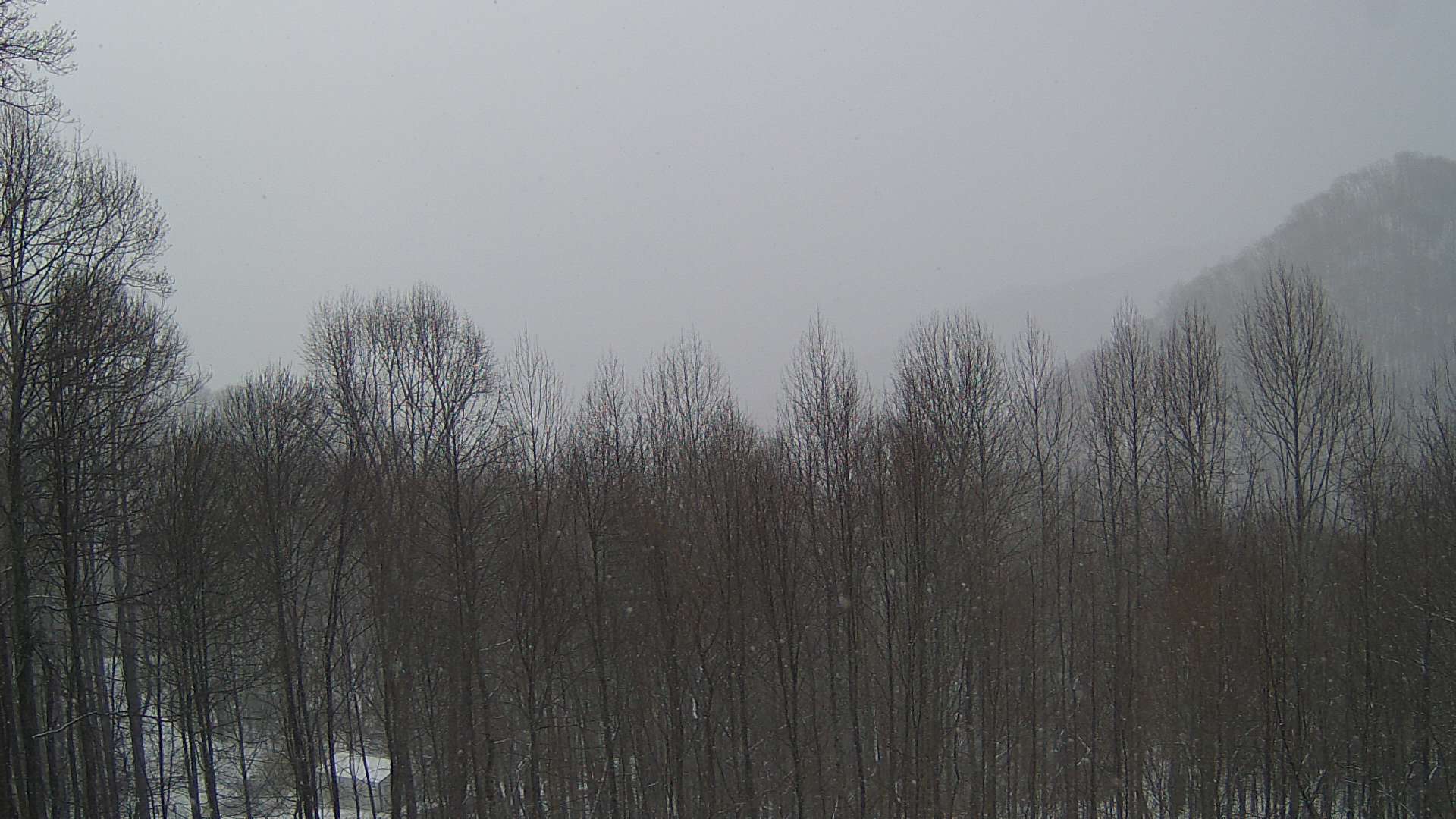 click for next image... slideshow image