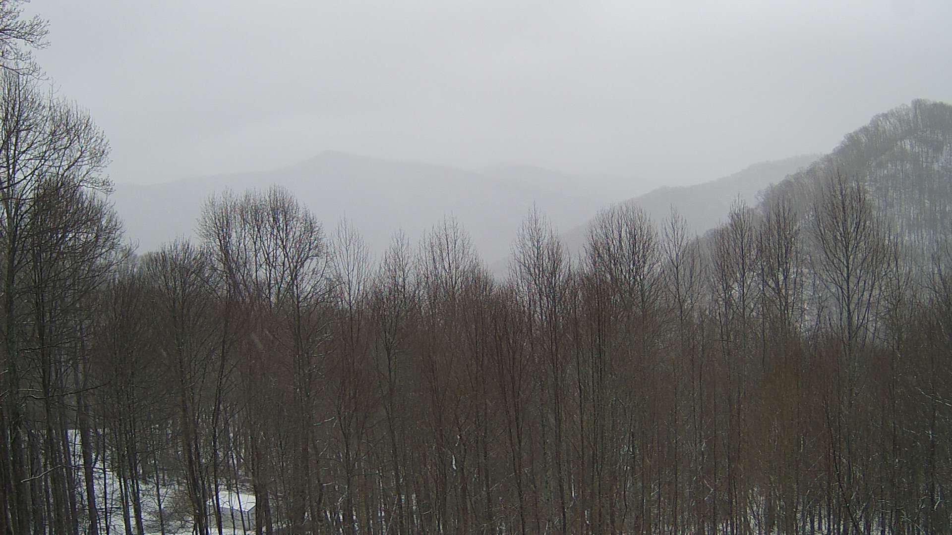 click for next image... slideshow image