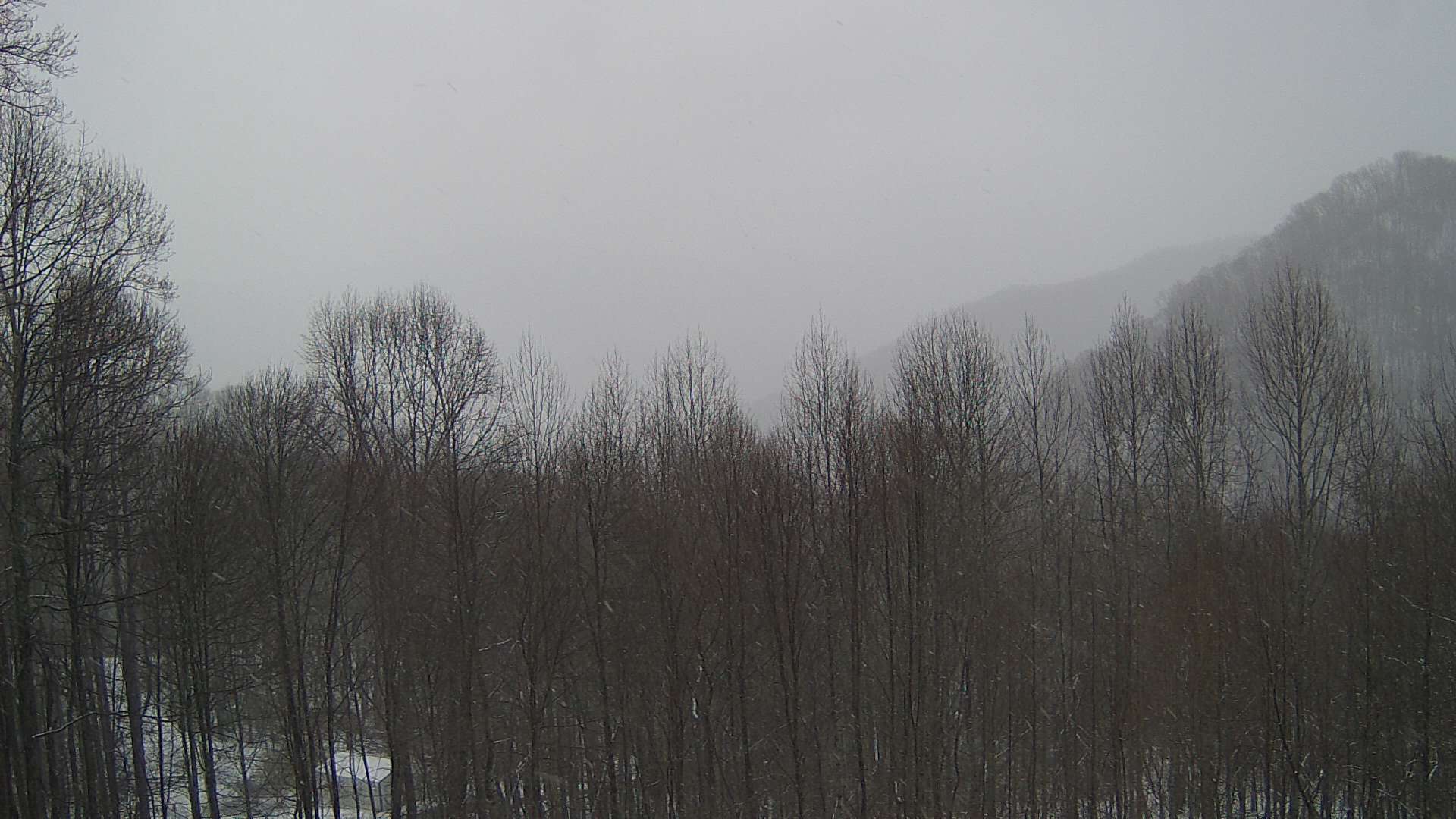 click for next image... slideshow image