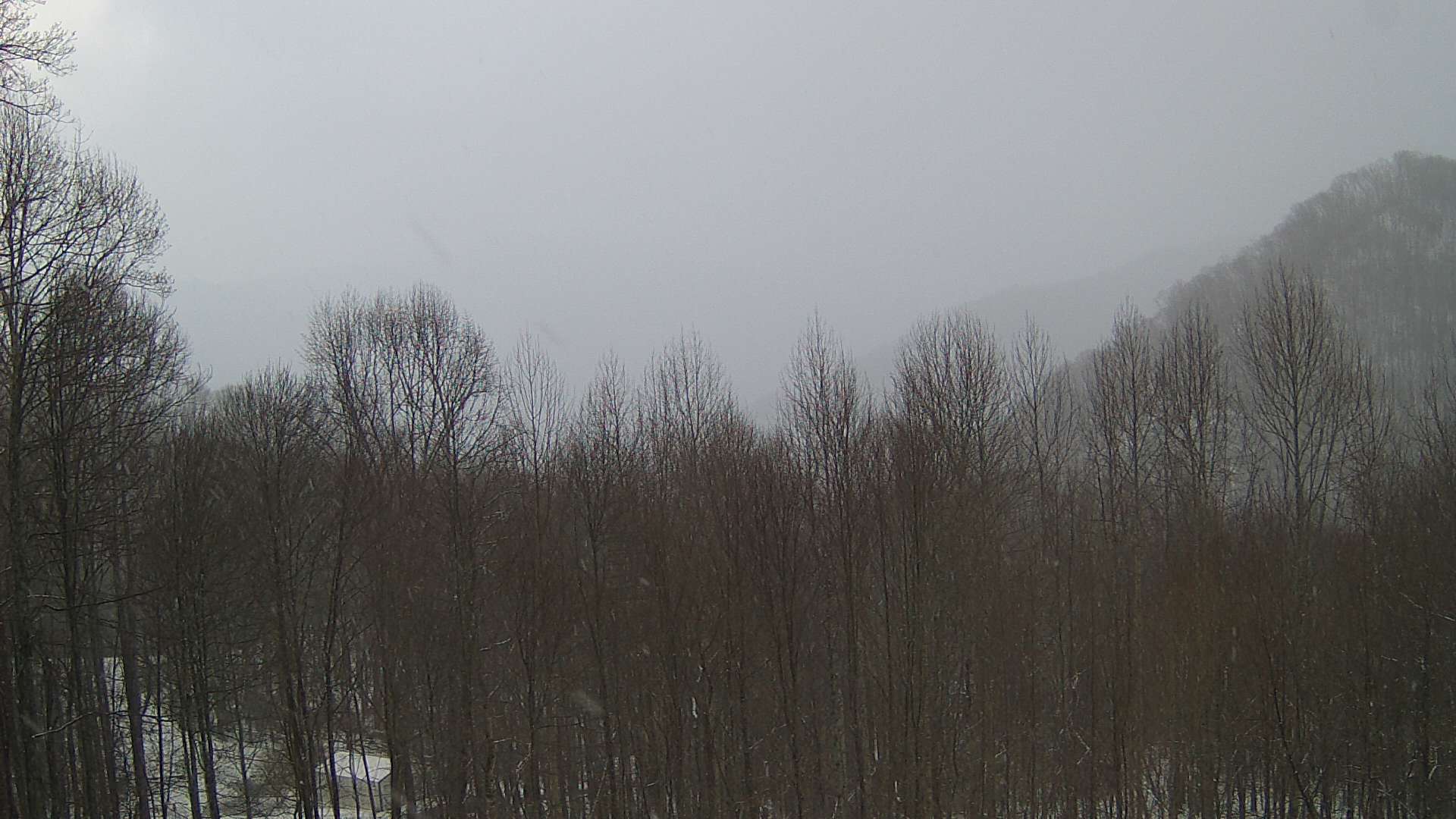 click for next image... slideshow image