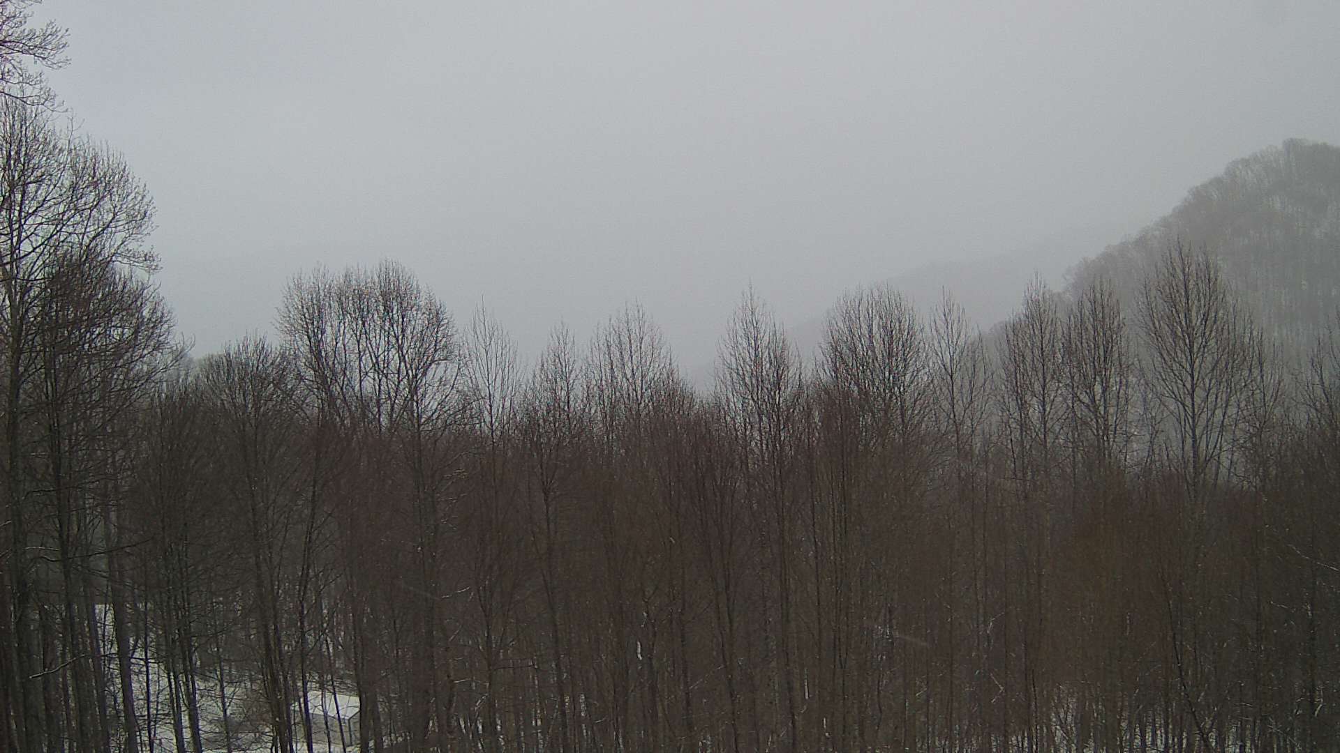 click for next image... slideshow image