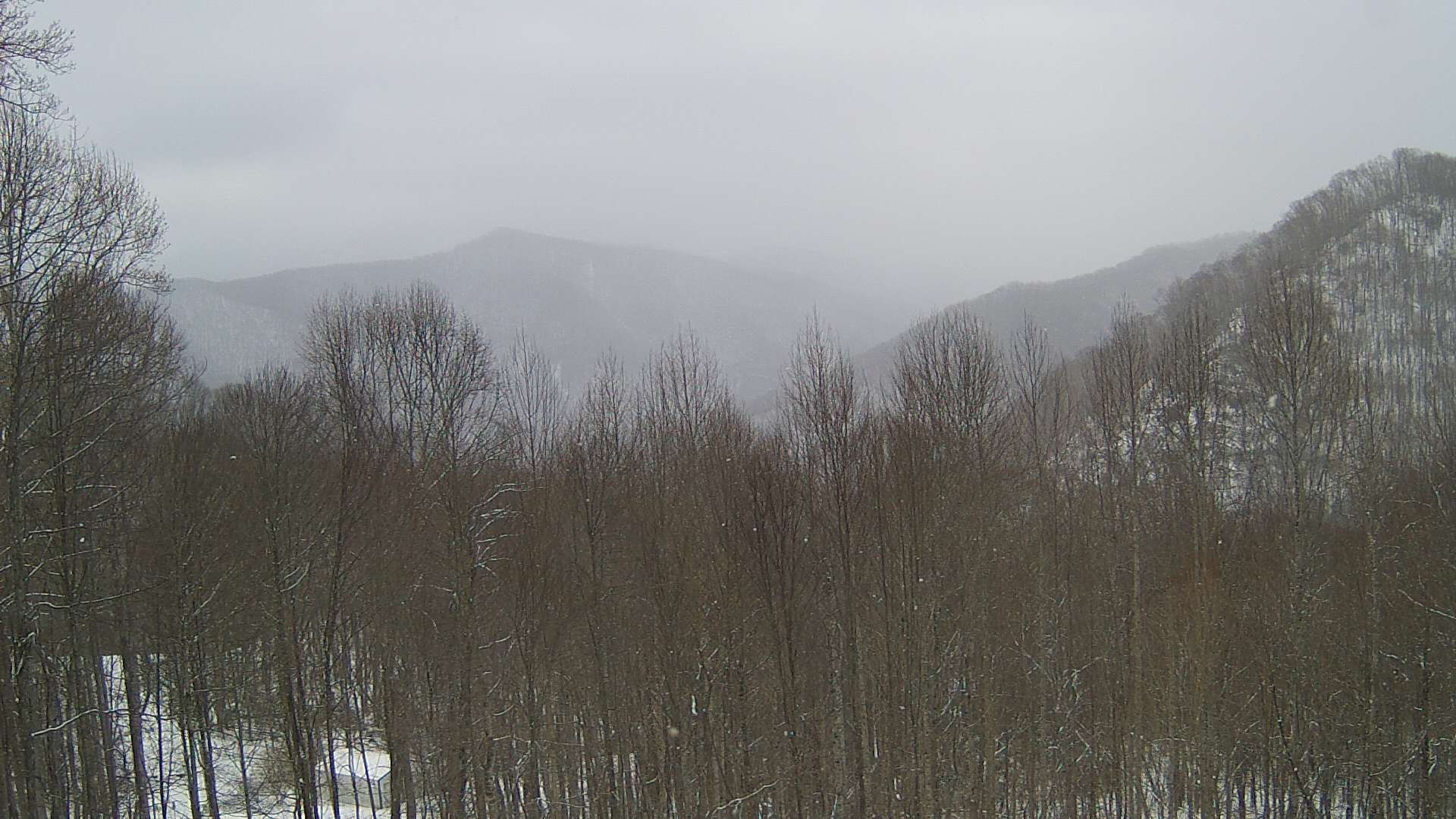 click for next image... slideshow image