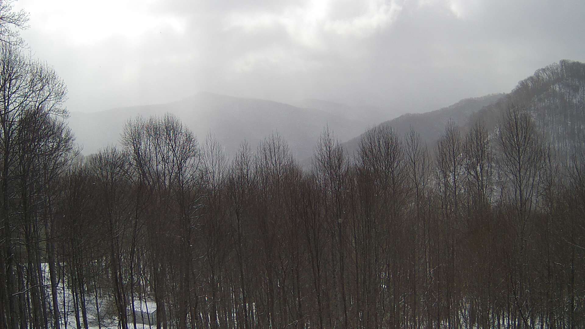 click for next image... slideshow image