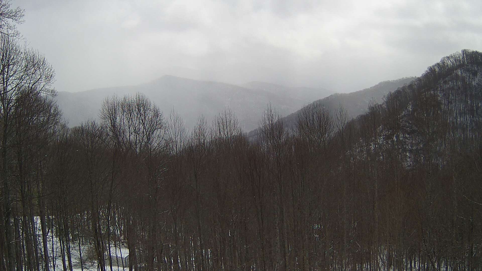 click for next image... slideshow image