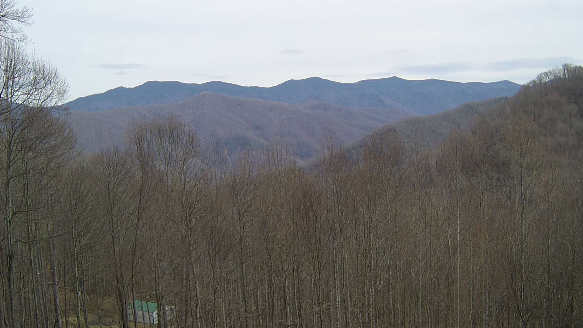 click for next image... slideshow image