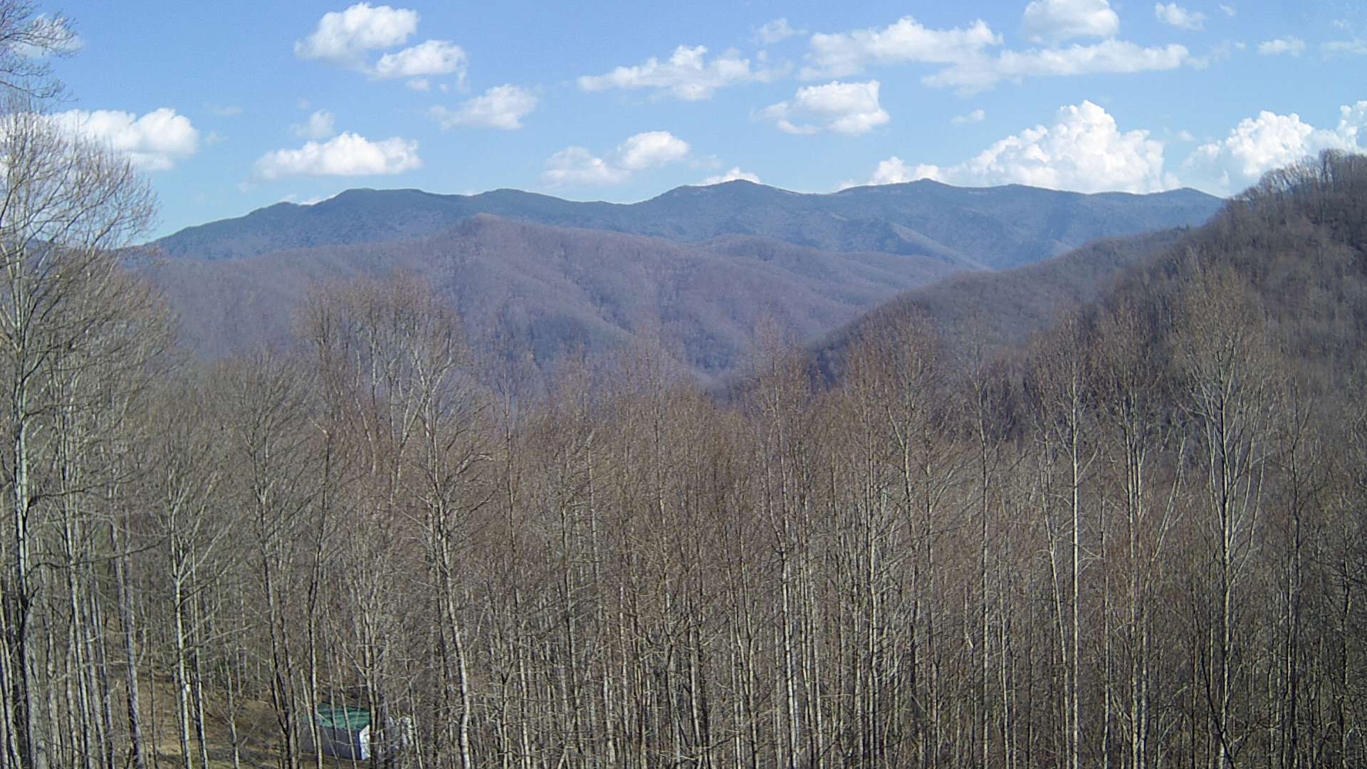 click for next image... slideshow image