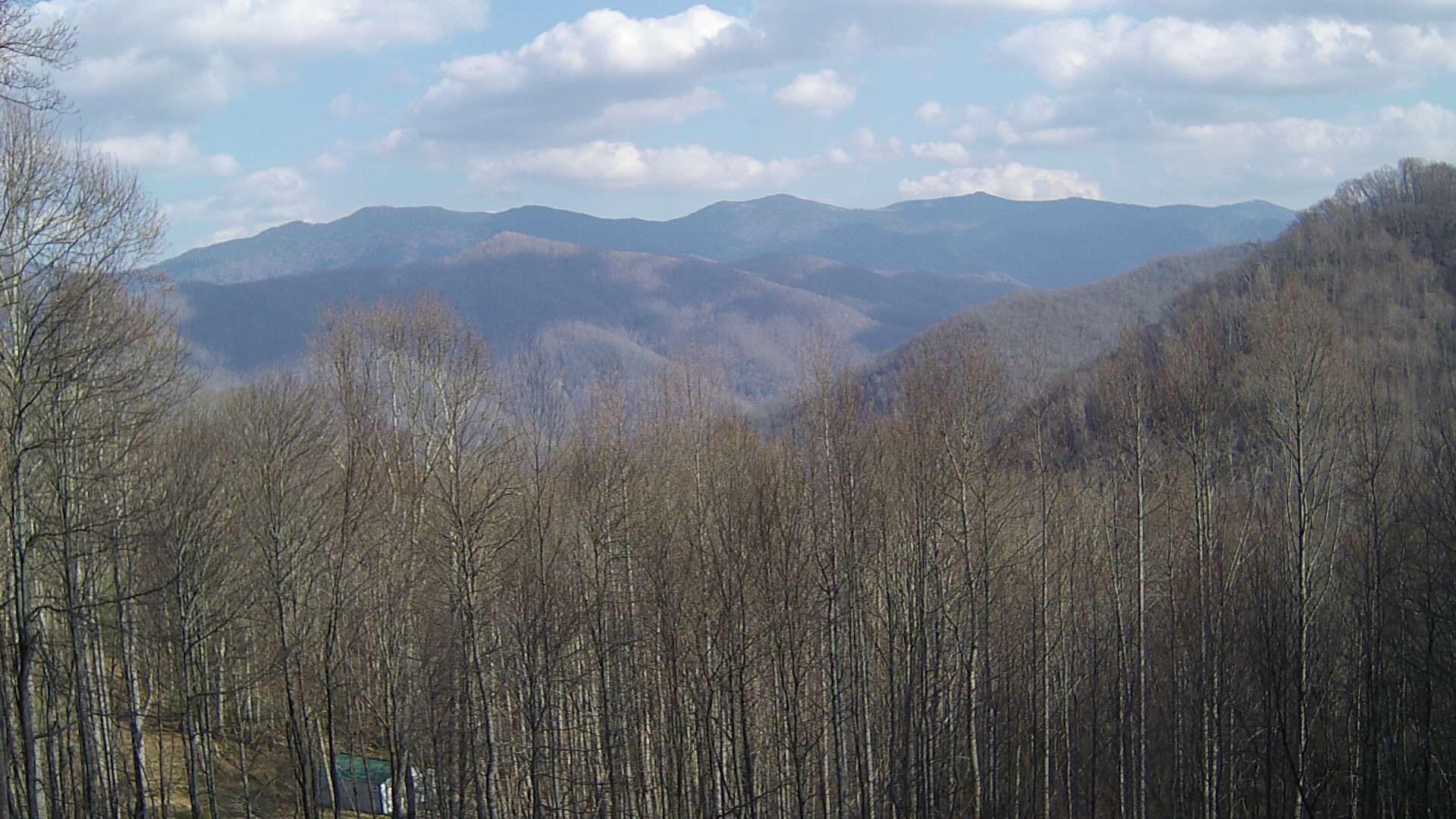 click for next image... slideshow image