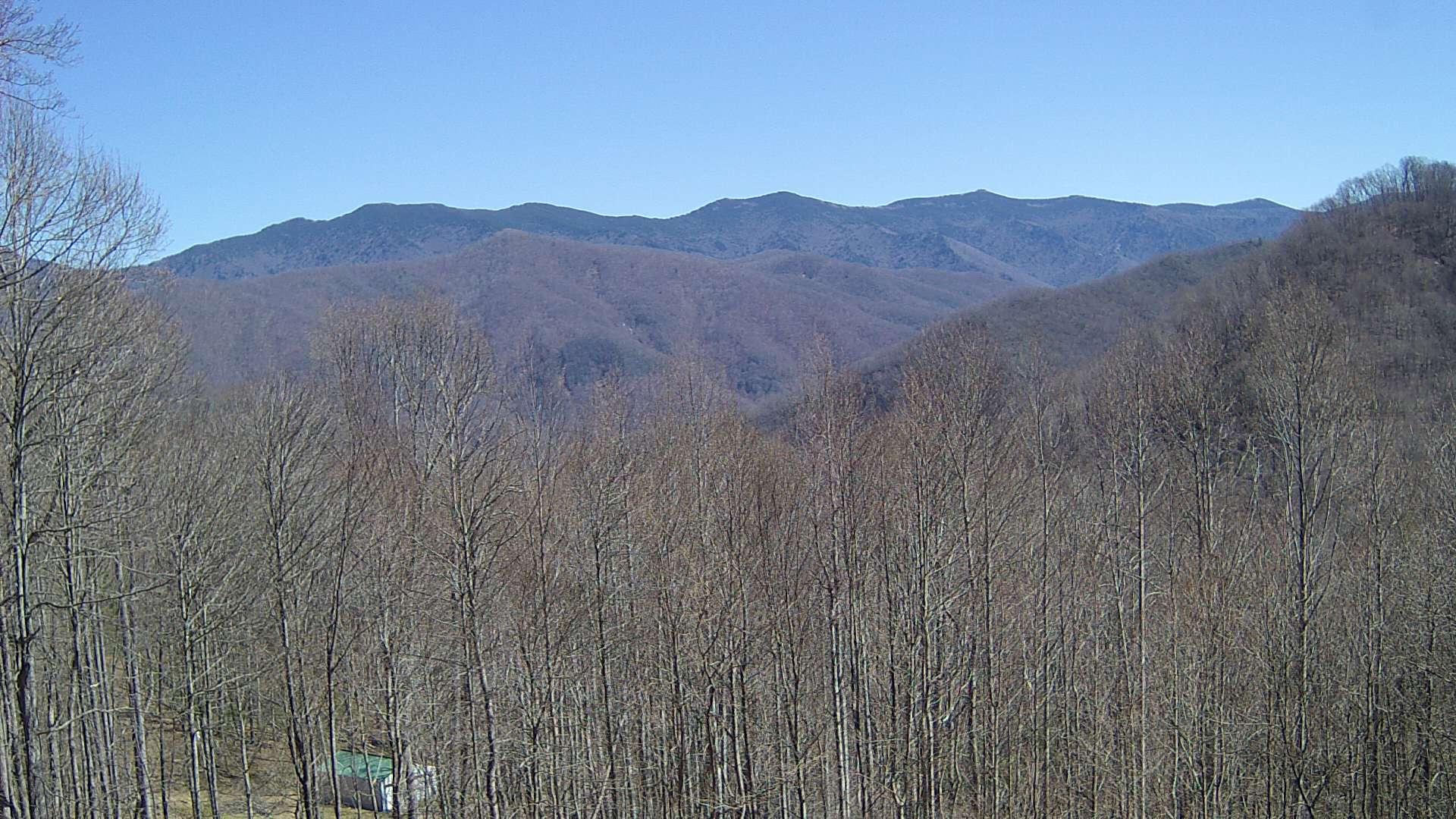 click for next image... slideshow image