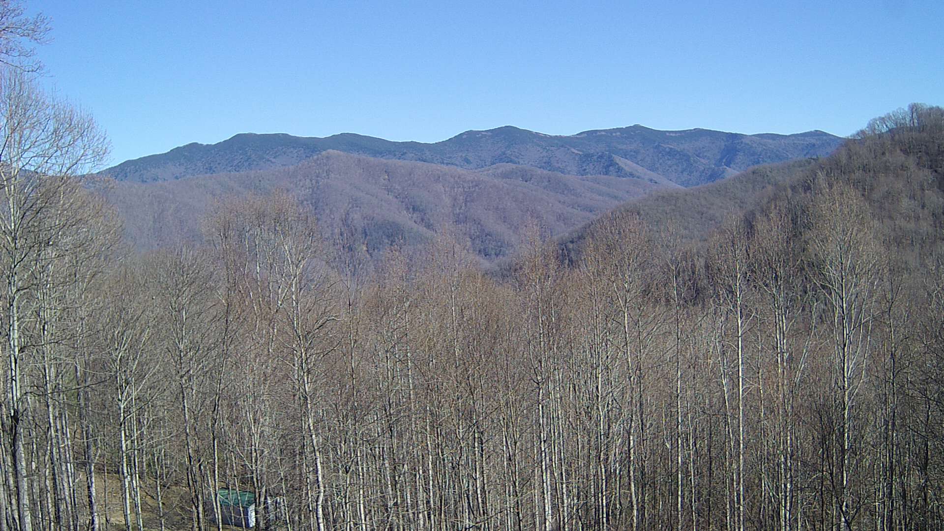 click for next image... slideshow image