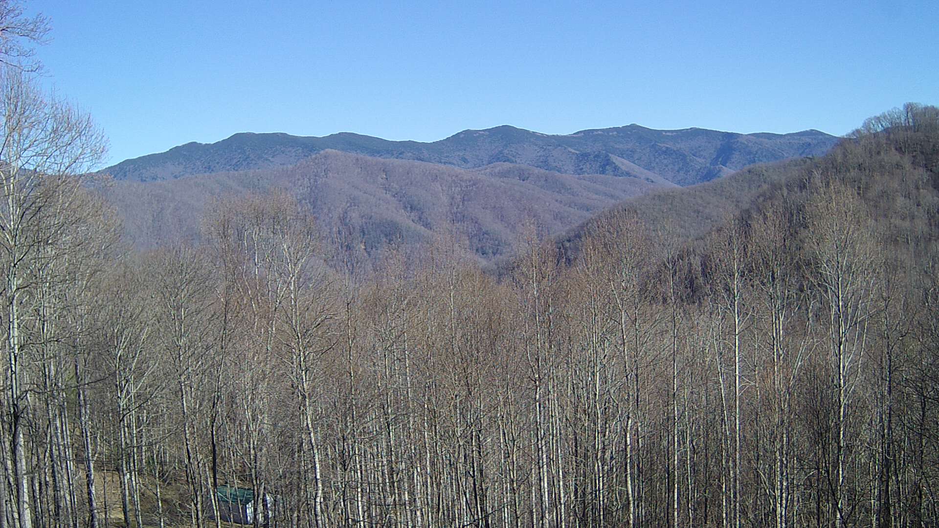 click for next image... slideshow image