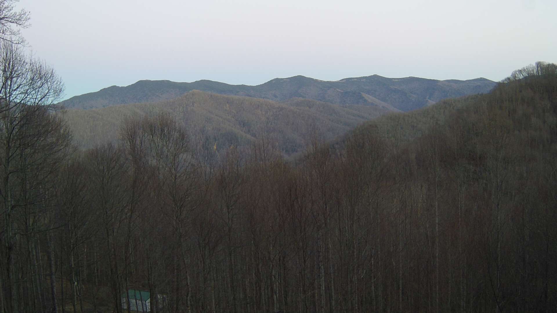 click for next image... slideshow image