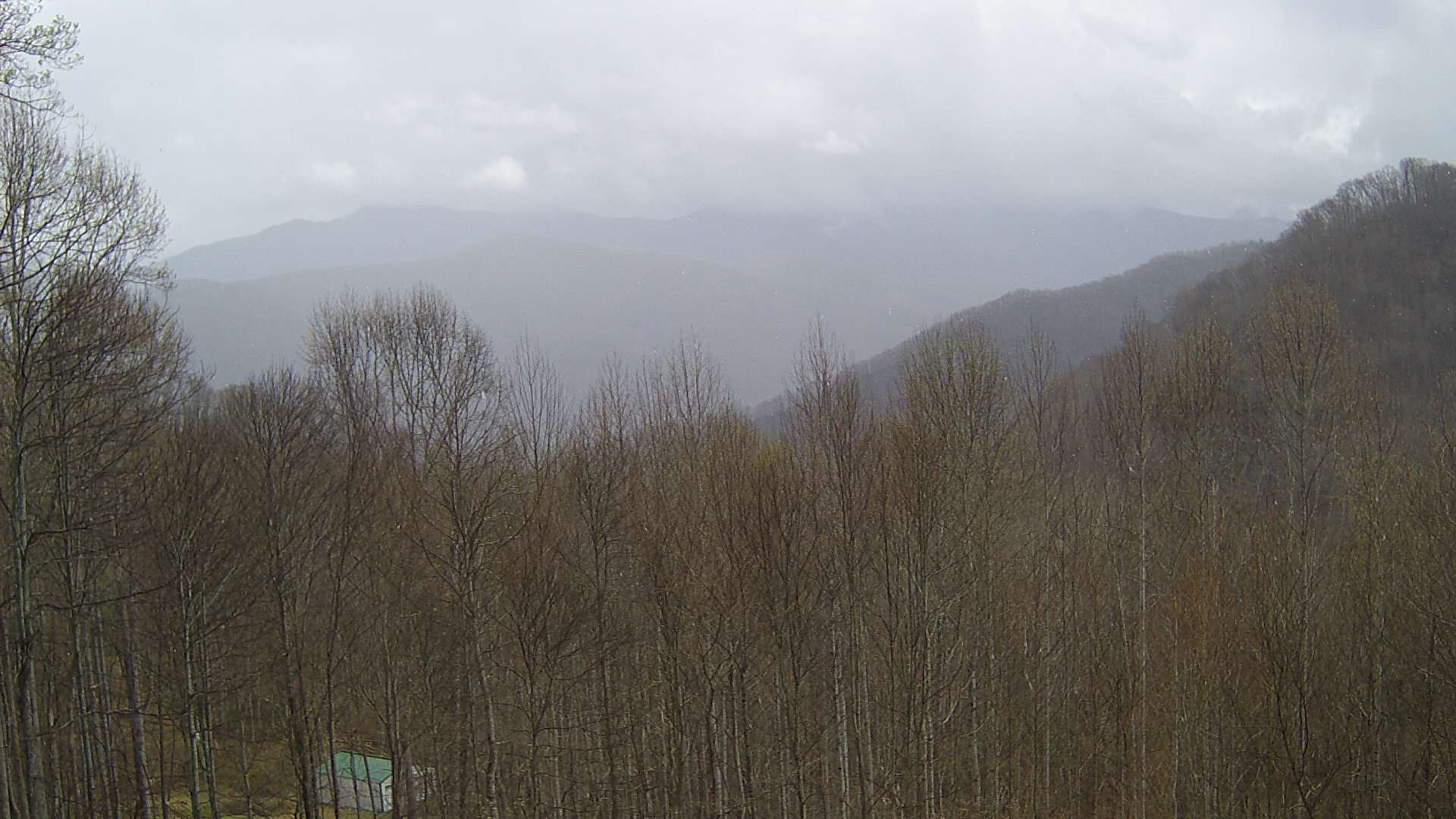 click for next image... slideshow image