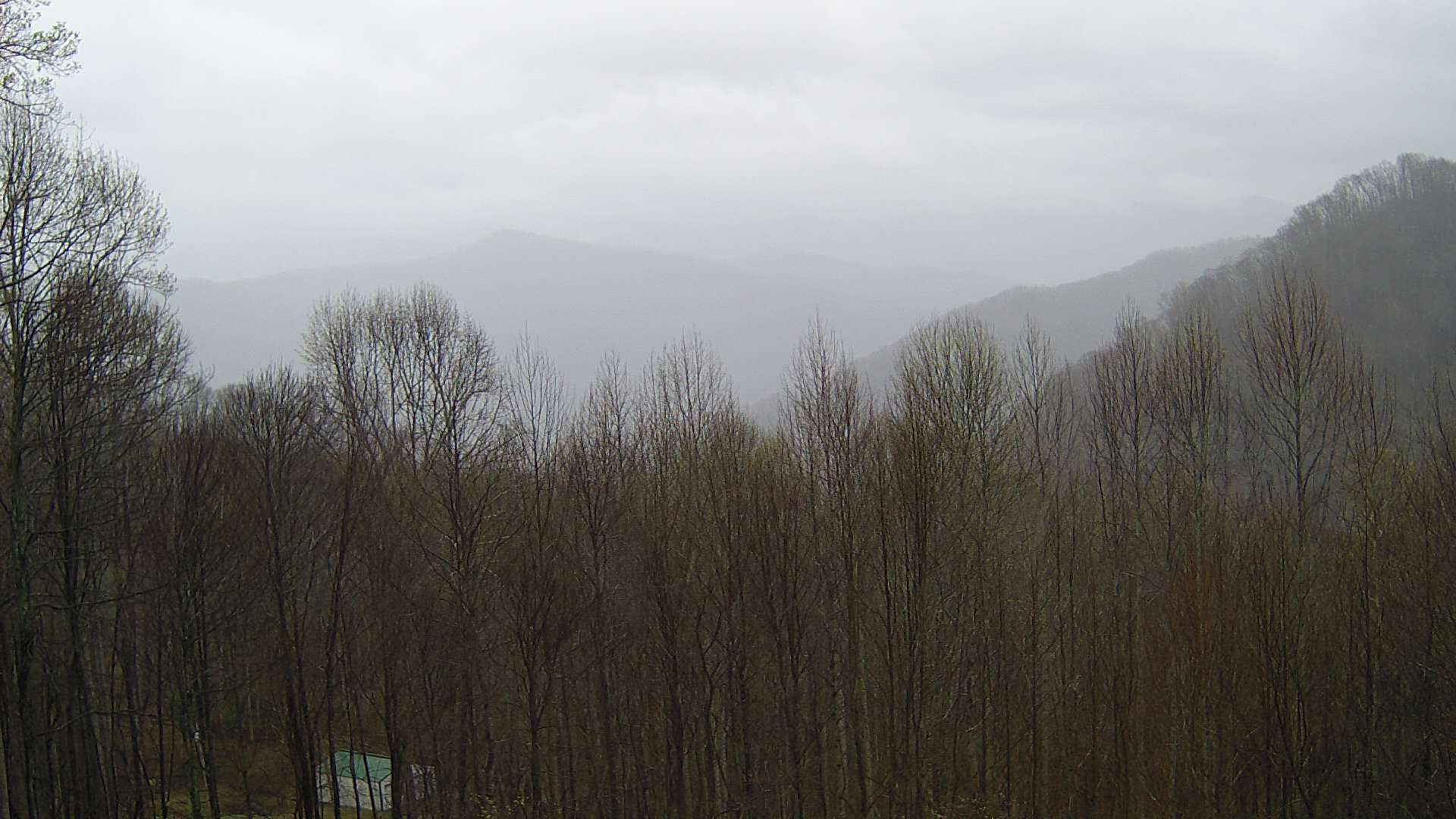 click for next image... slideshow image