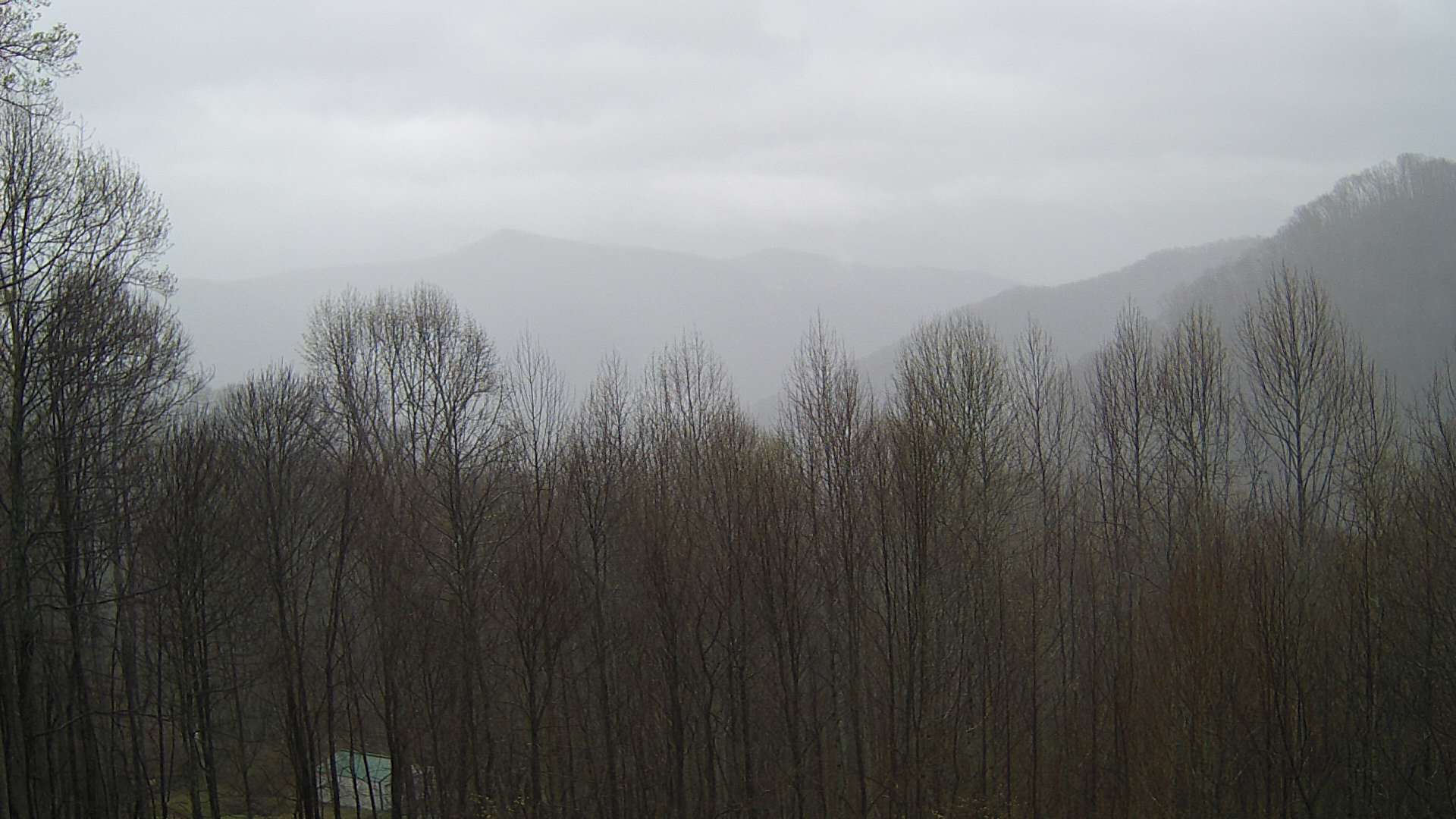 click for next image... slideshow image
