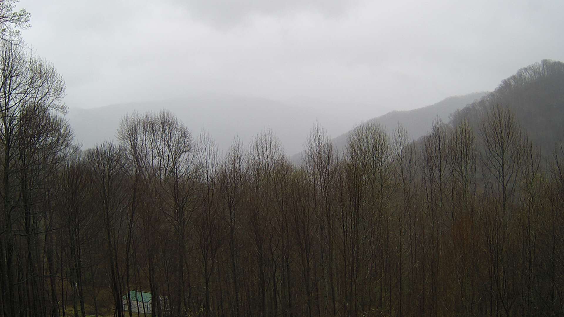 click for next image... slideshow image