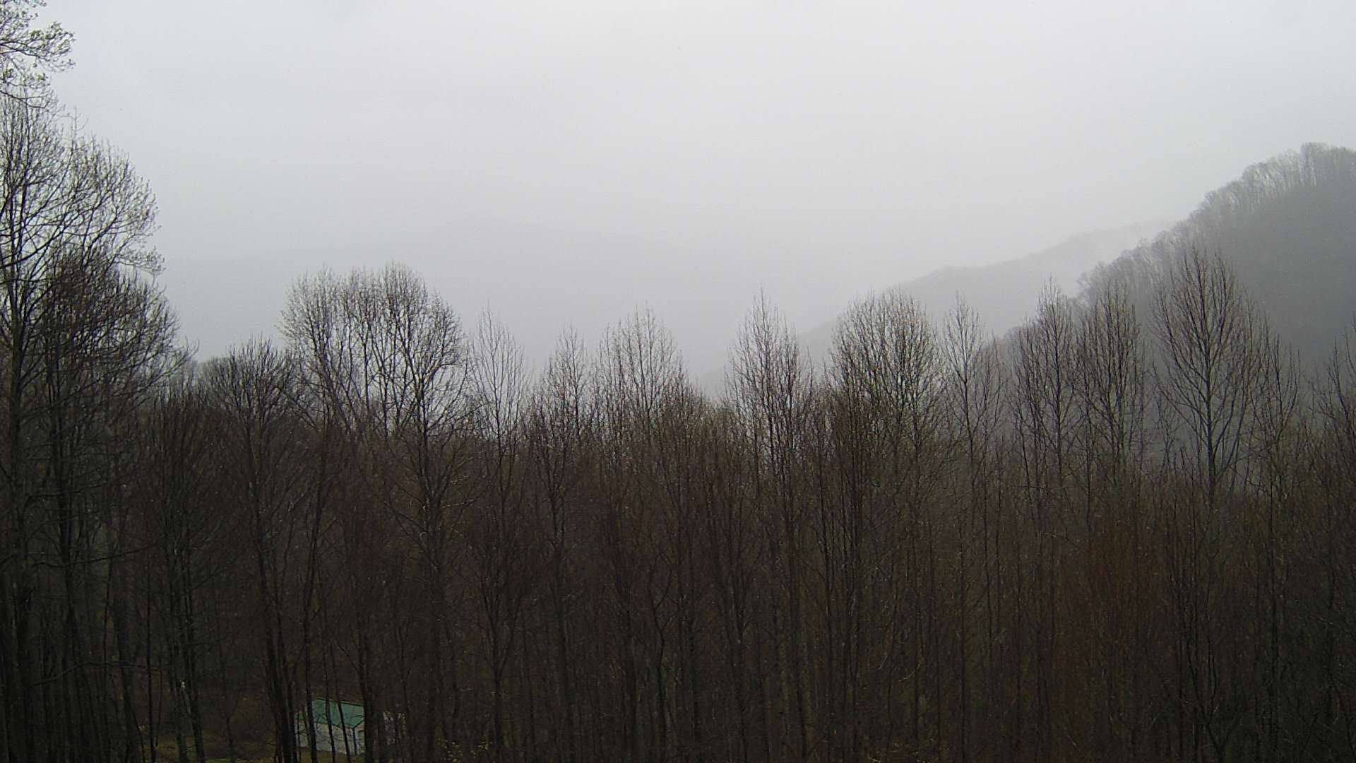 click for next image... slideshow image