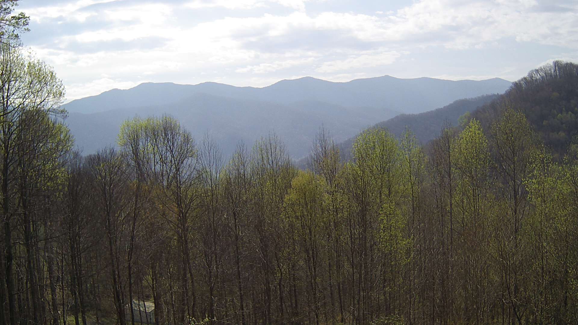 click for next image... slideshow image