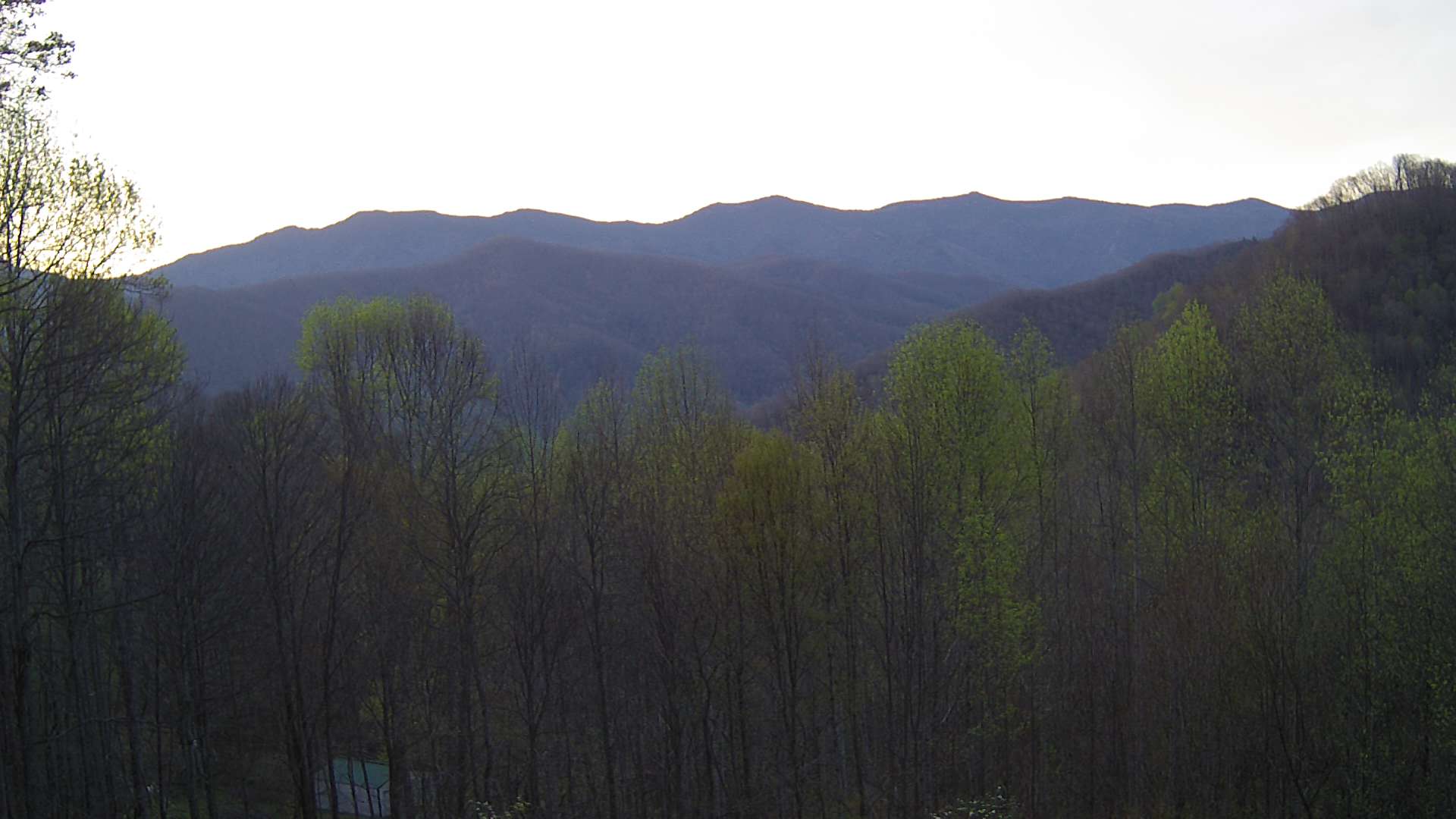 click for next image... slideshow image