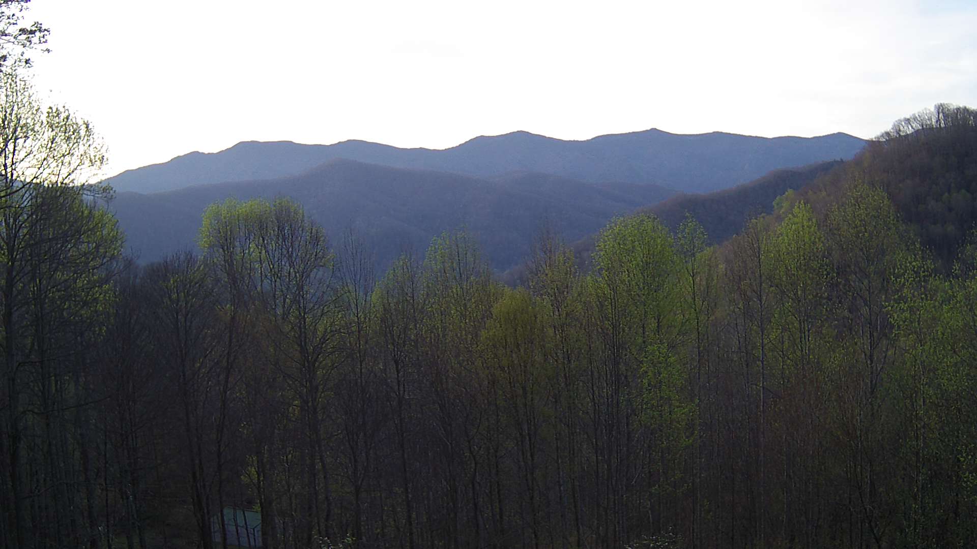 click for next image... slideshow image