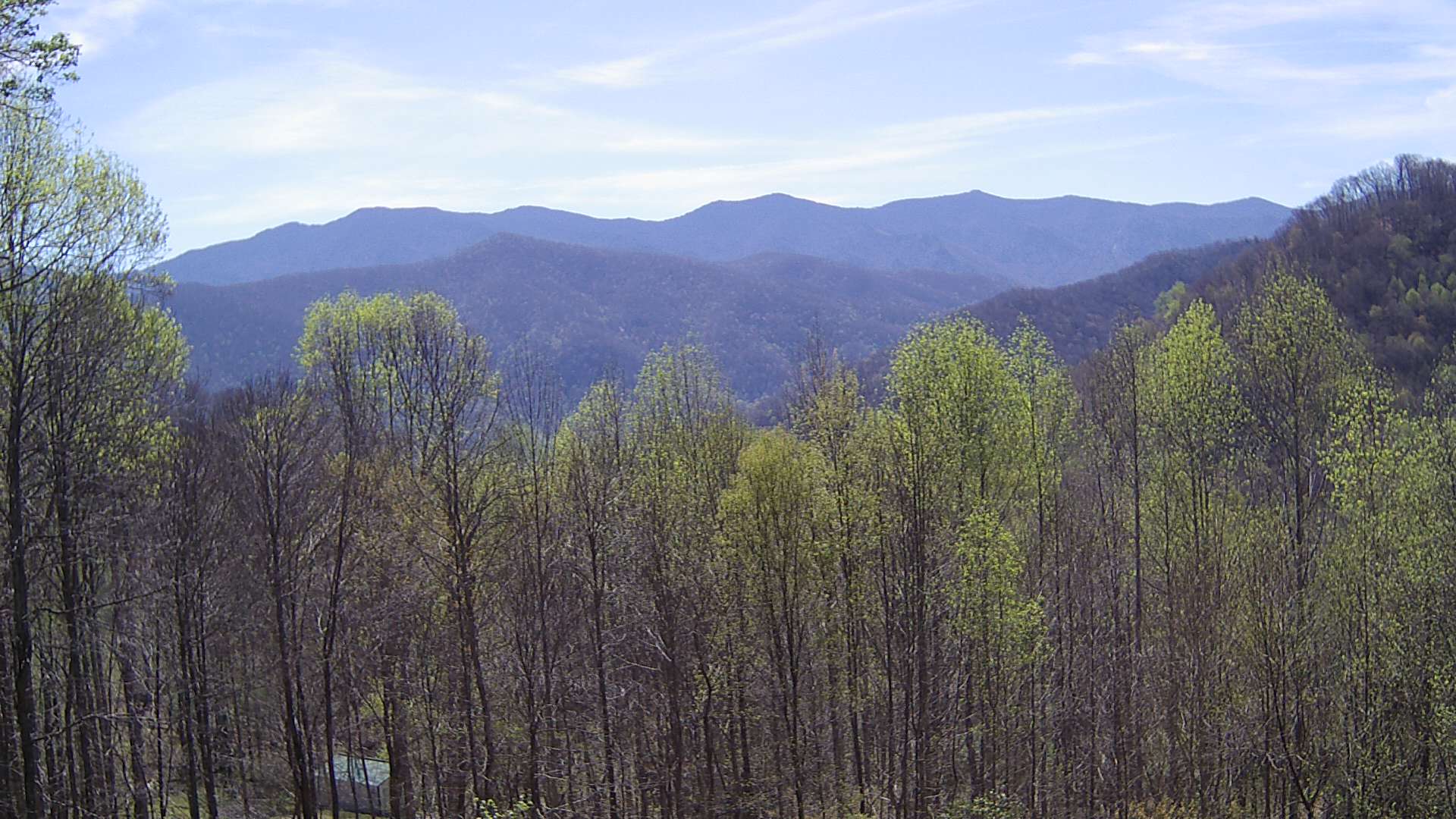 click for next image... slideshow image